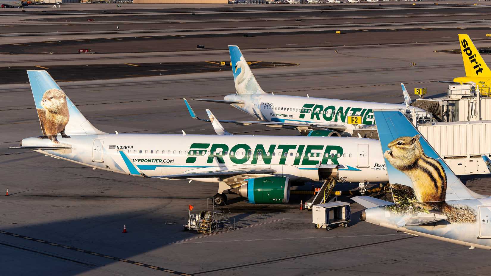 Frontier Airlines and Spirit Airlines aircraft at PHX 