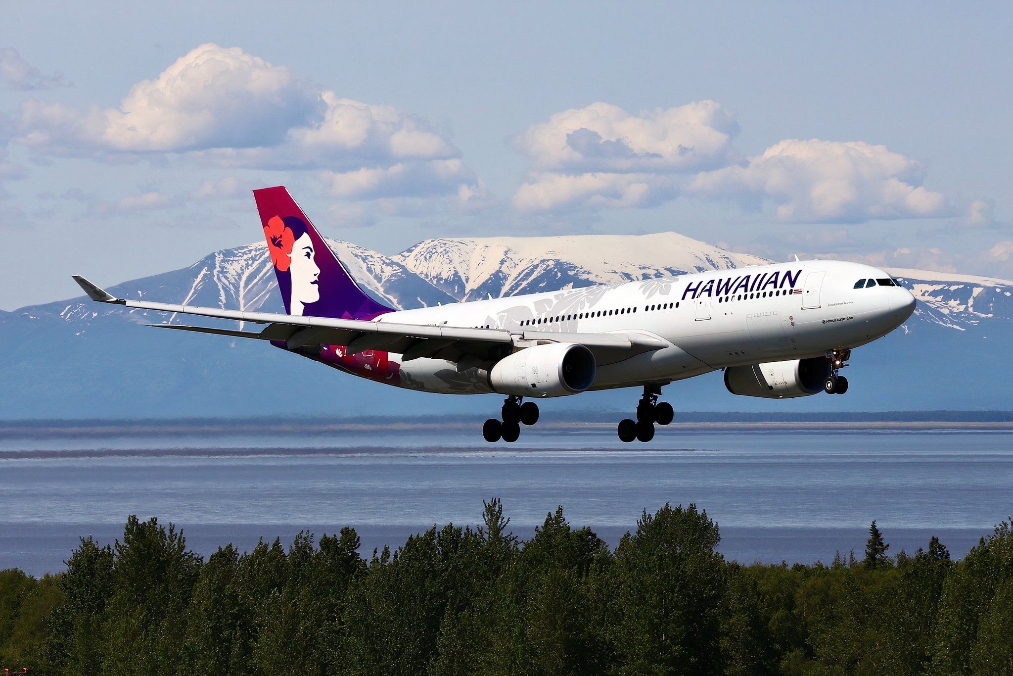 その他 Hawaiian Airlines Airbus A330-200 1:400 MODL225103_zLyhdaeNbiu2YzTu.jpg