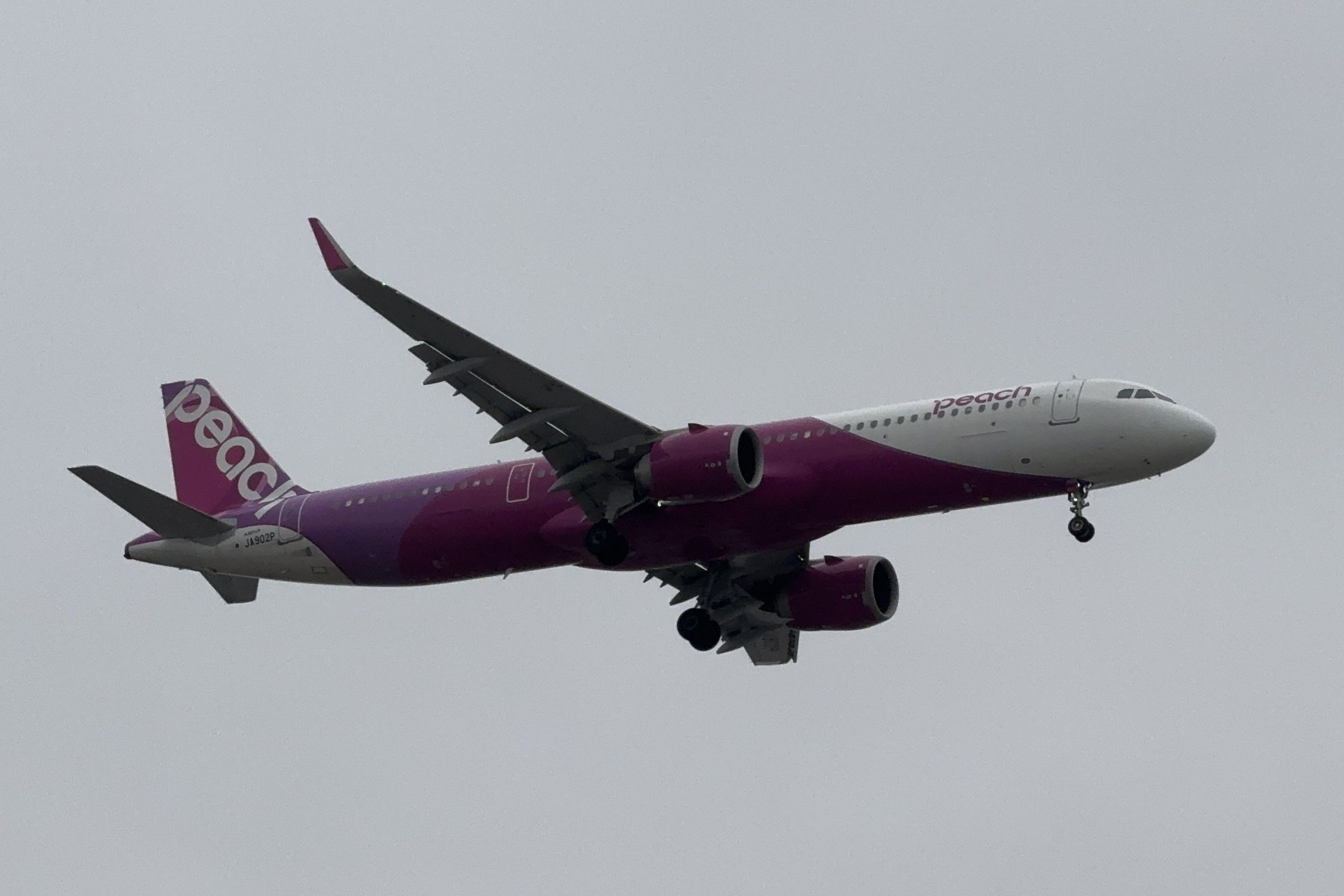 航空機・ヘリコプター Peach Airbus A321 neo 航空機・ヘリコプター Peach Airbus A321 neo 非売品・新商品