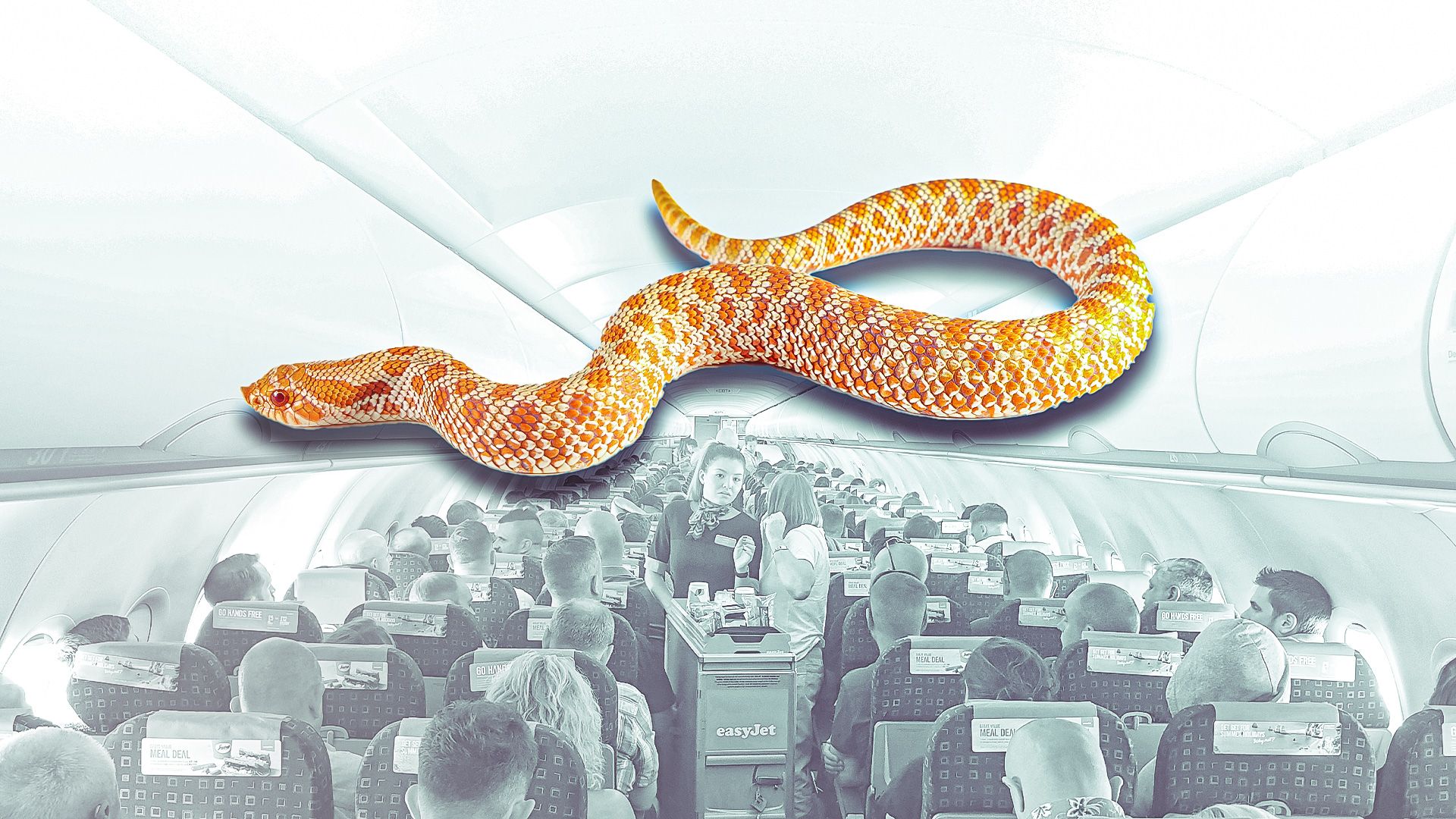 When An easyJet Airbus A320 Headed For Morocco Diverted To Portugal After A Passenger Hallucinated Snakes
