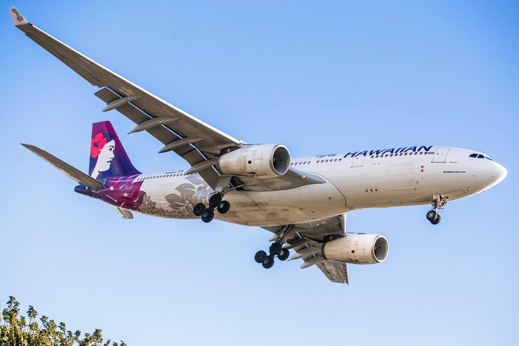 The Most Popular Airbus A330 Routes From Seattle-Tacoma International ...