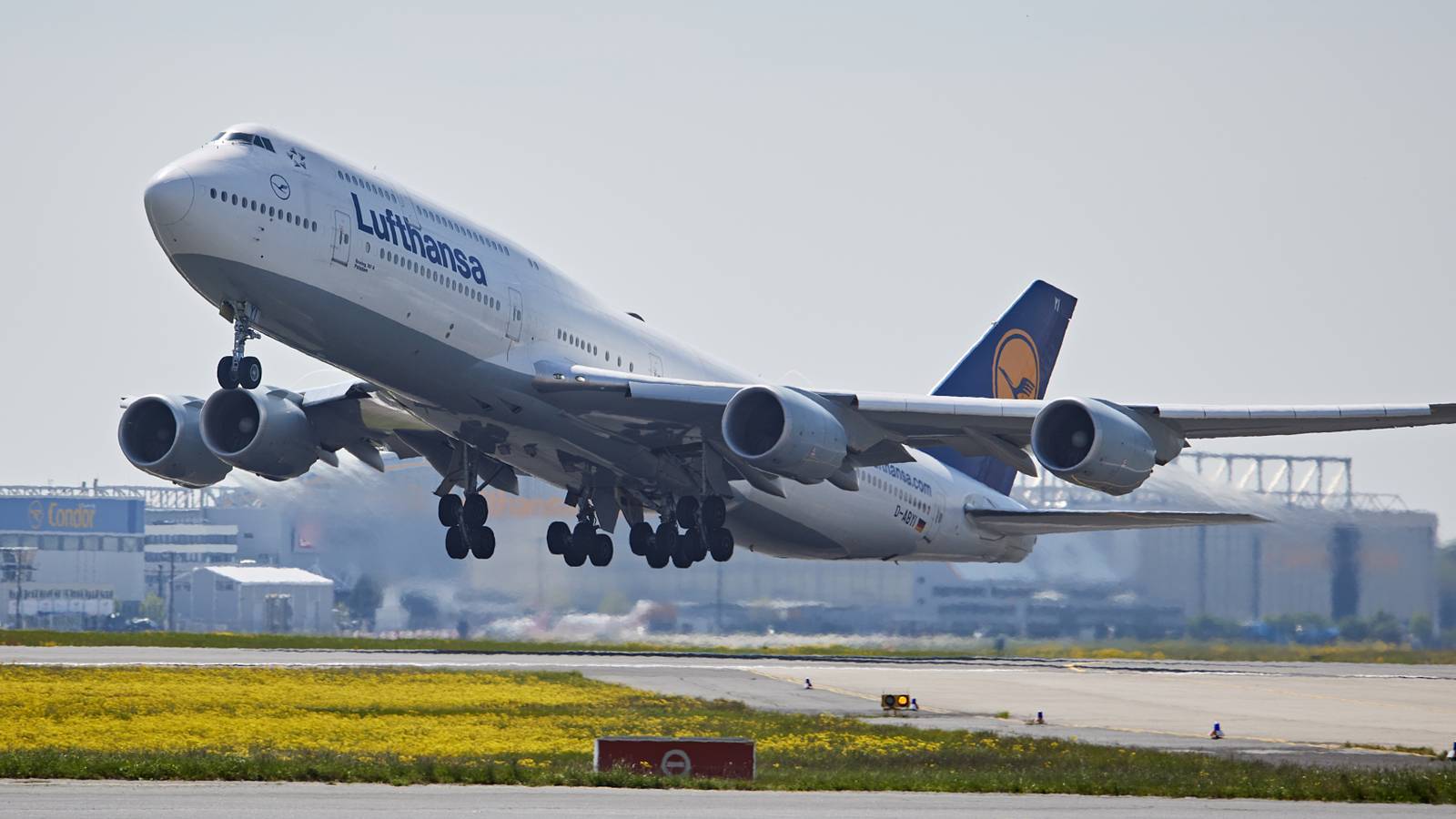 Lufthansa Increases Boeing 747 Flights Year-On-Year Despite The Type's Overall Decline