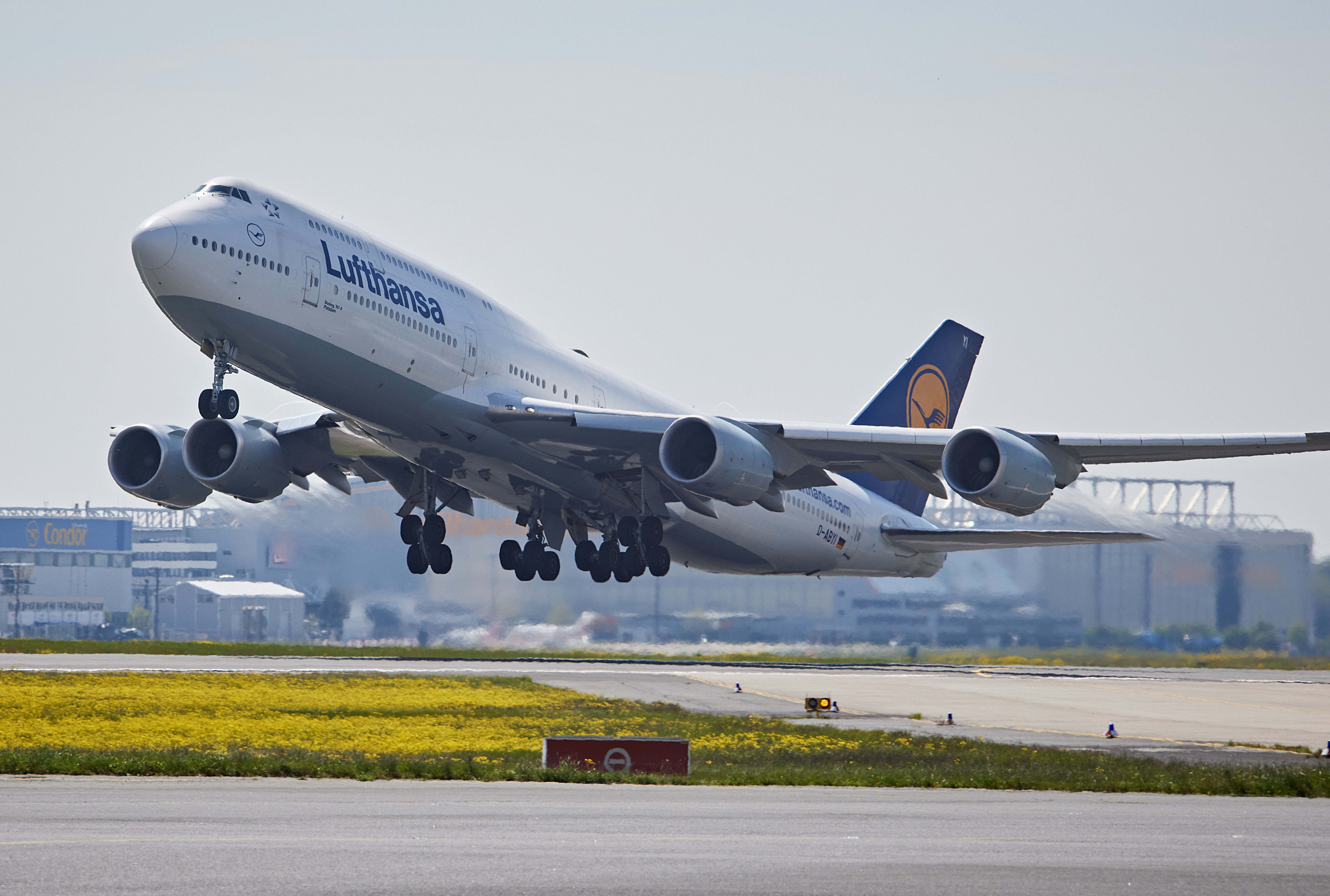 Not Dead Yet: Lufthansa Is Operating More Boeing 747 Flights Than In 2024