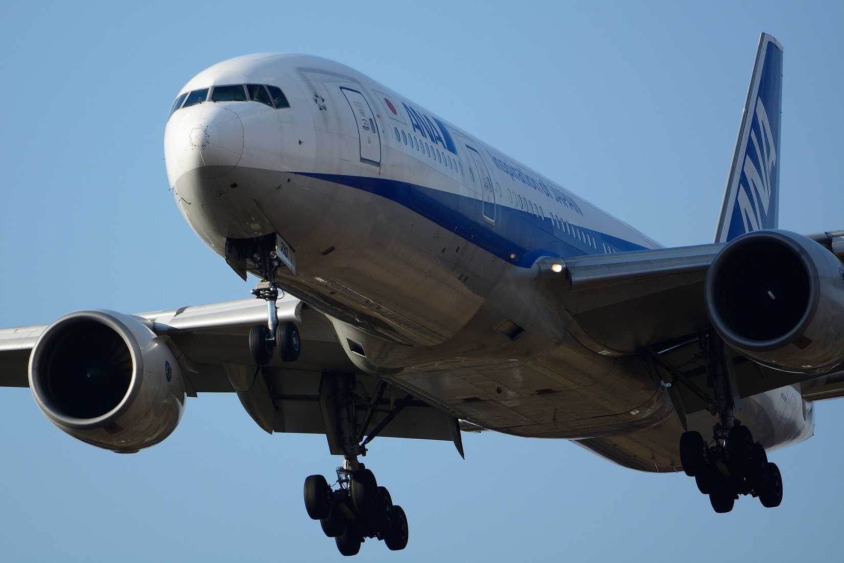 Which Widebody Aircraft Is United Airlines The Largest US Operator Of?