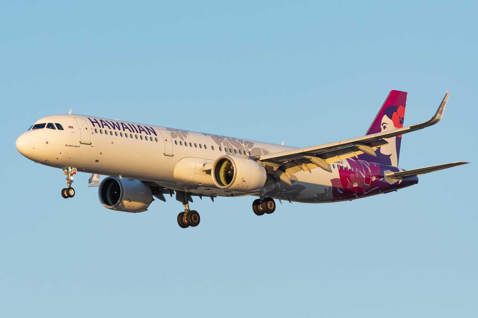 Hawaiian Airlines Airbus A321neo is moments from landing at San Jose International Airport (SJC).