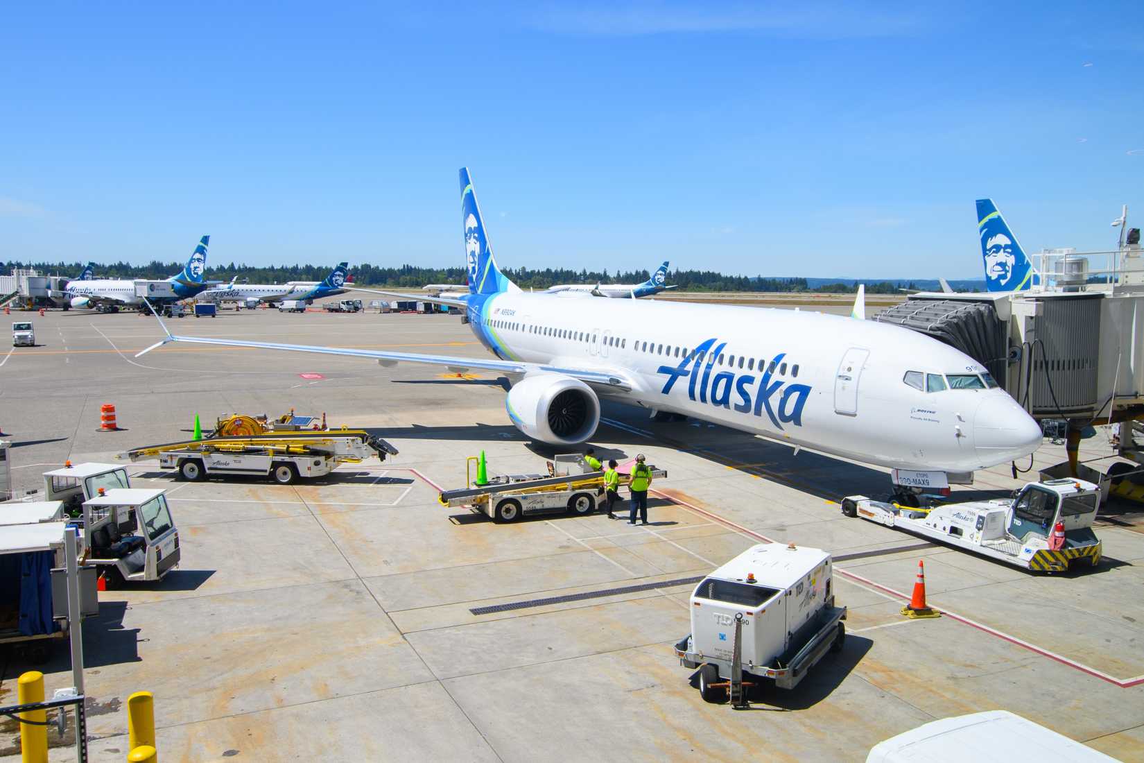 An Alaska Airlines Boeing 737 MAX 9 Surrounded by Mostly Alaska Air Group Aircraft at Seattle-Tacoma International Airport