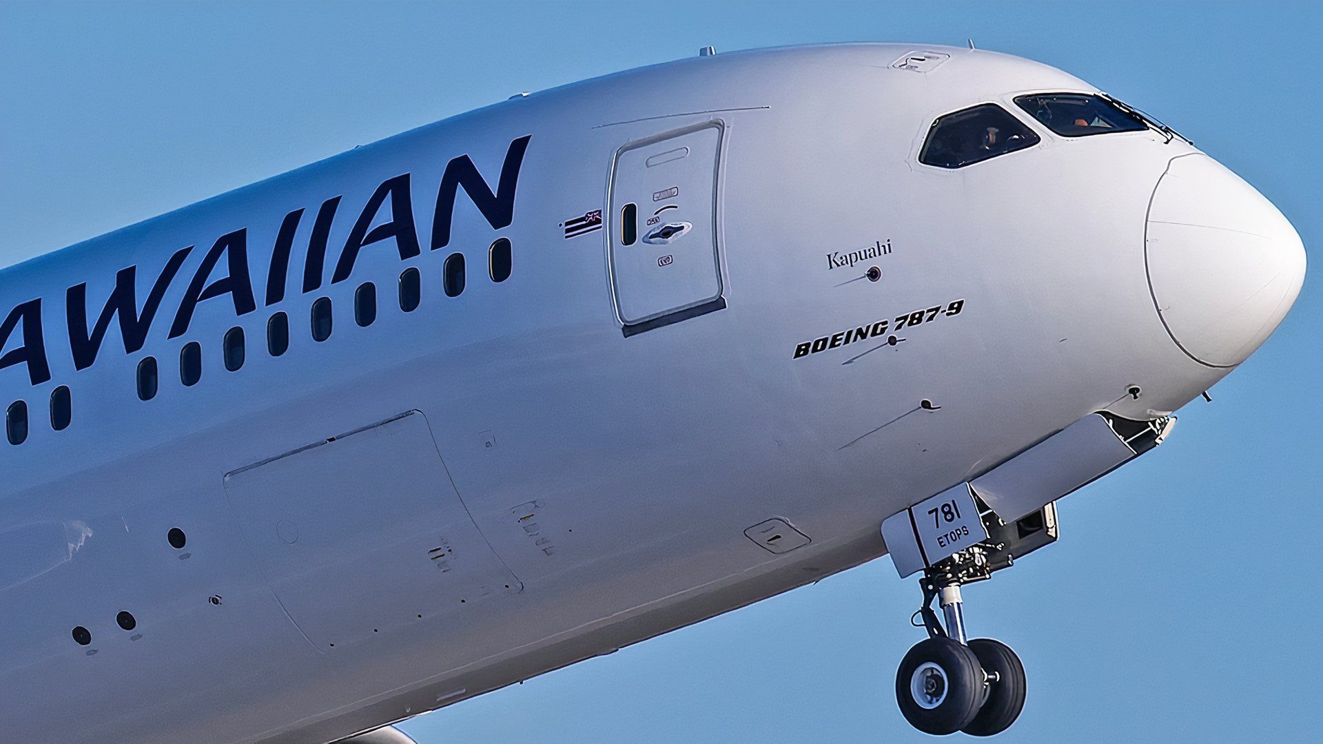 【マーシー】ロングボード　FLIGHT HAWAII Makua 9.6 hawaiian-airlines-boeing-787-9