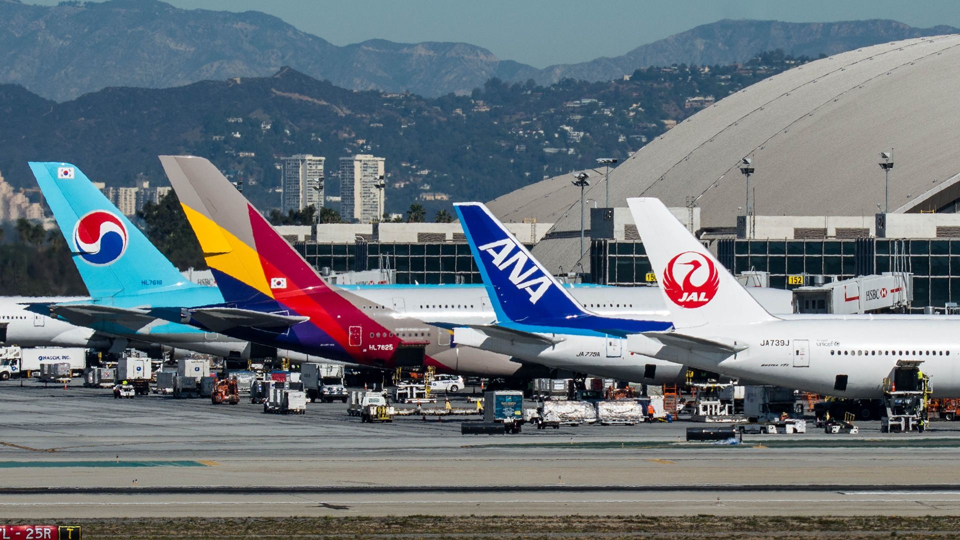 Tails of international airlines at Los Angeles International Airport