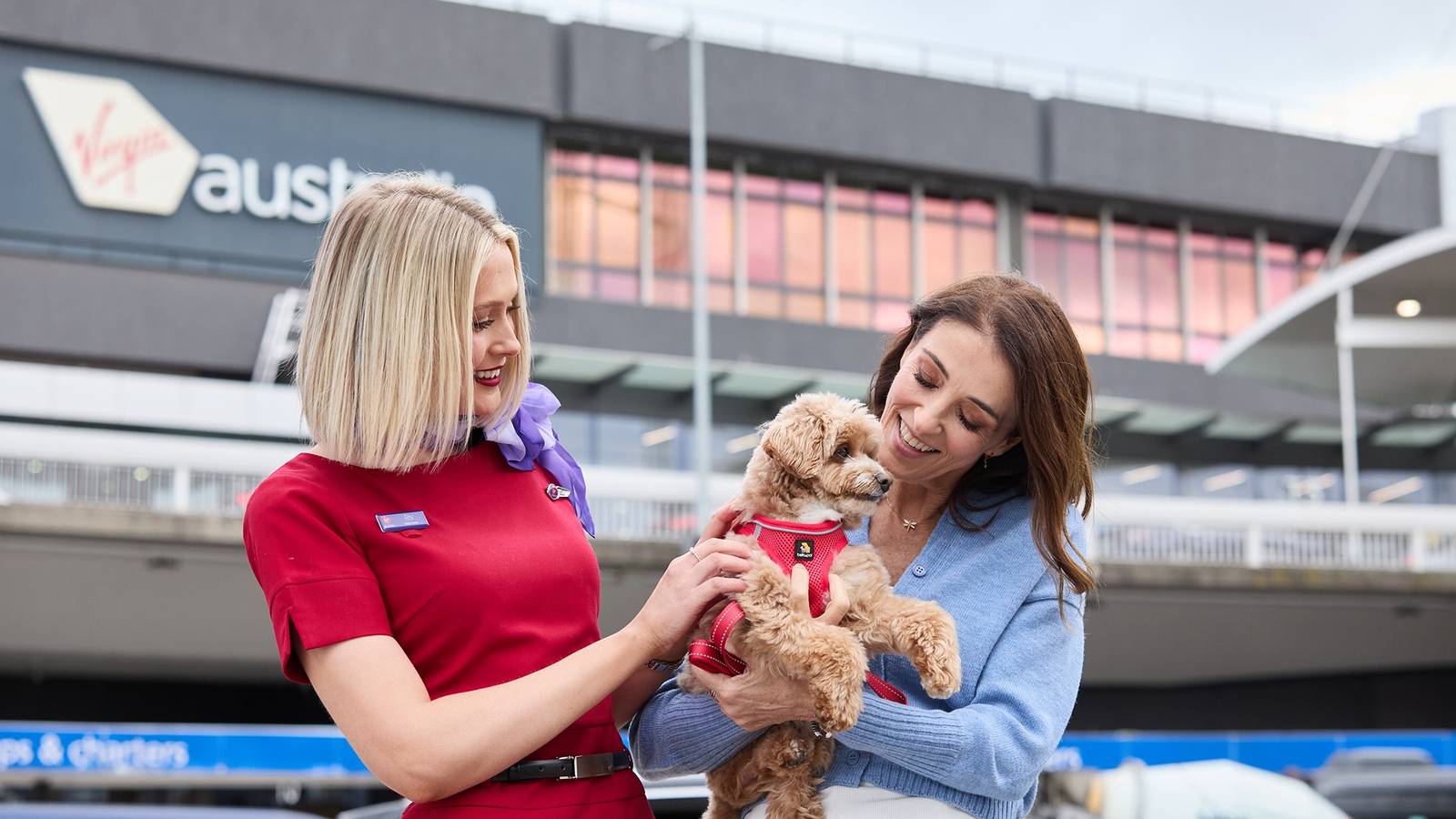 Virgin Australia Becomes 1st Airline Down Under To Welcome Pets In Cabin