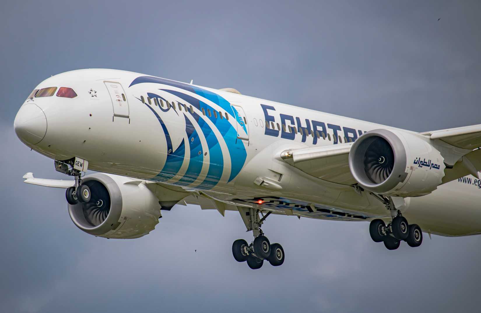 EgyptAir 787 