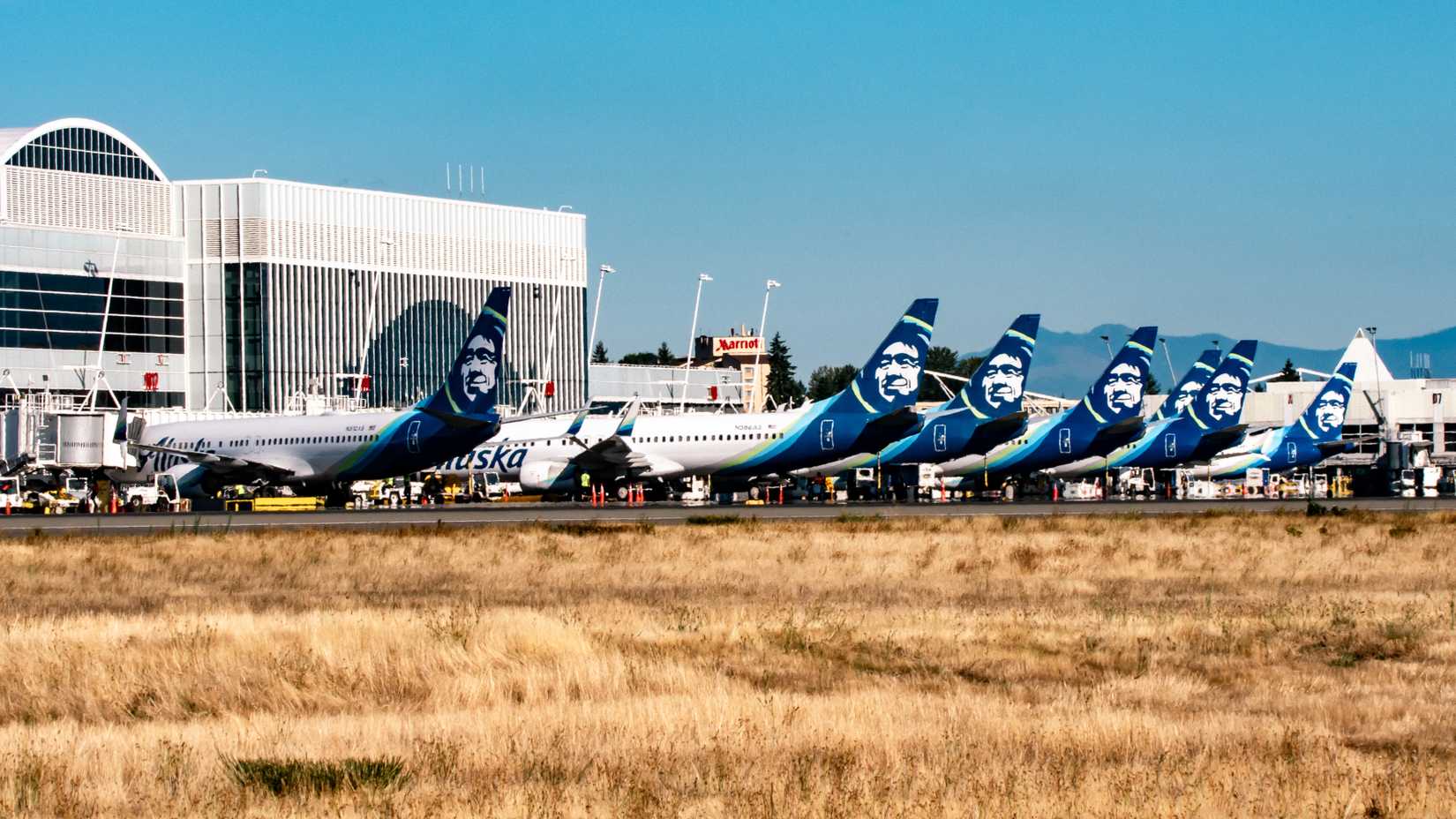 Row of Alaska Airlines Jets Parked at Seattle-Tacoma International Airport (SEA)