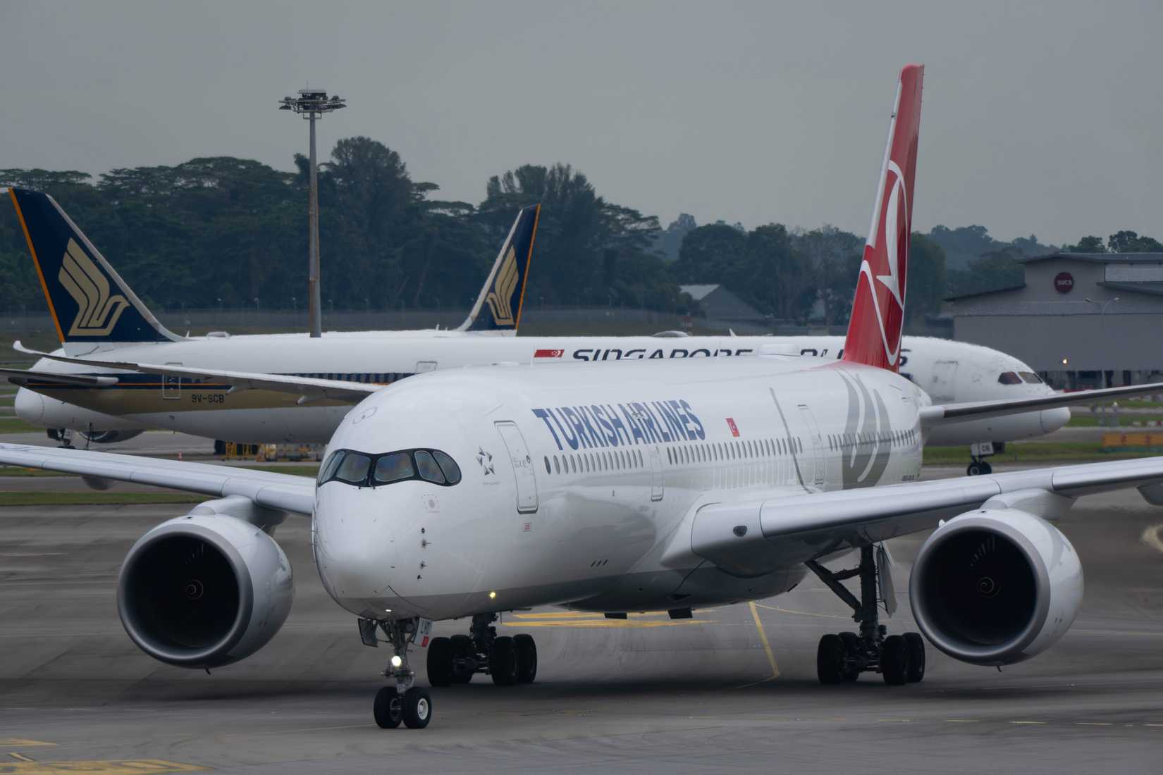 Turkish Airlines Airbus A350-941 taxiing to the terminal after arrival in Singapore.