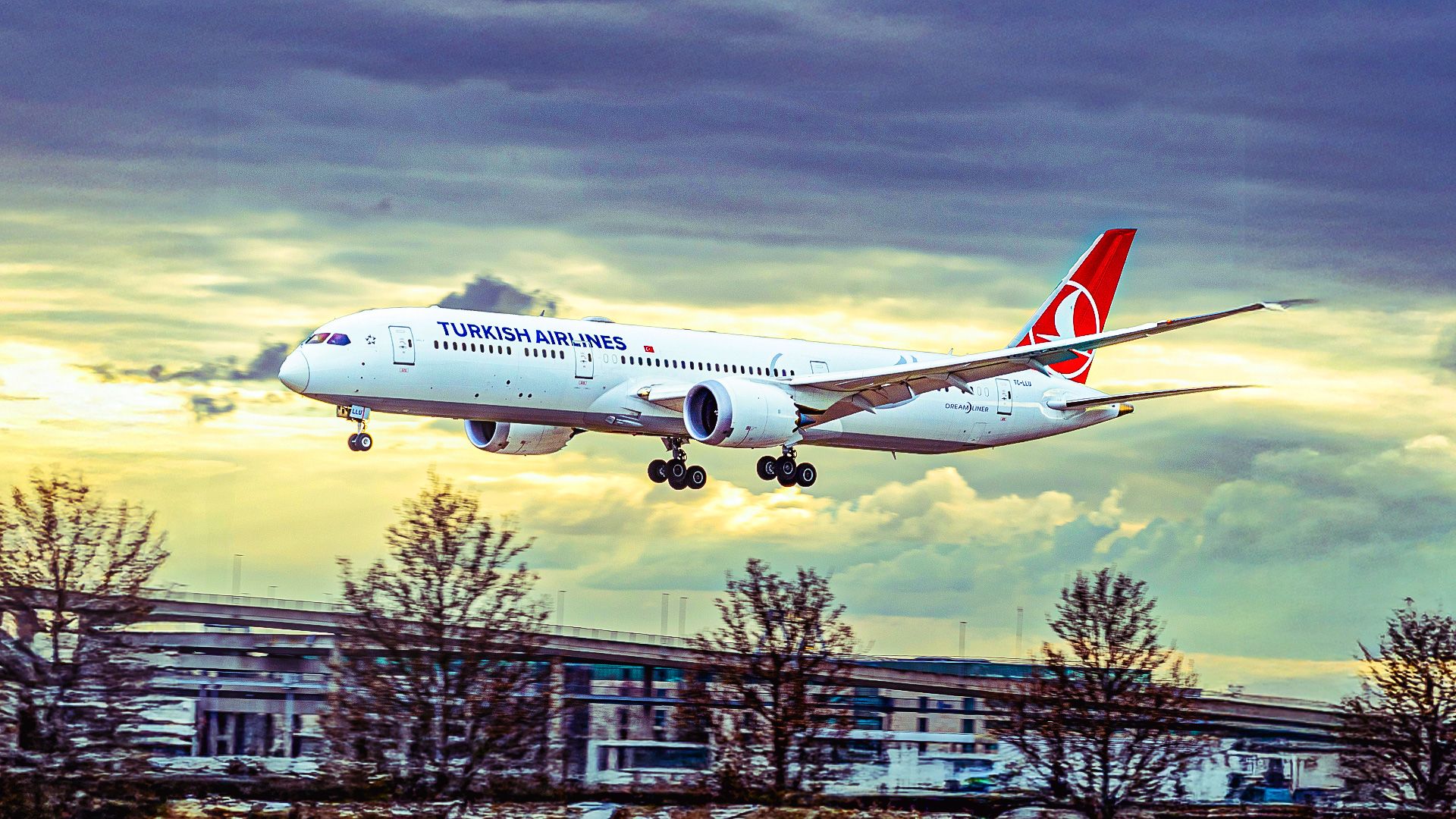 Turkish Airlines Boeing 787 Custom Thumbnail