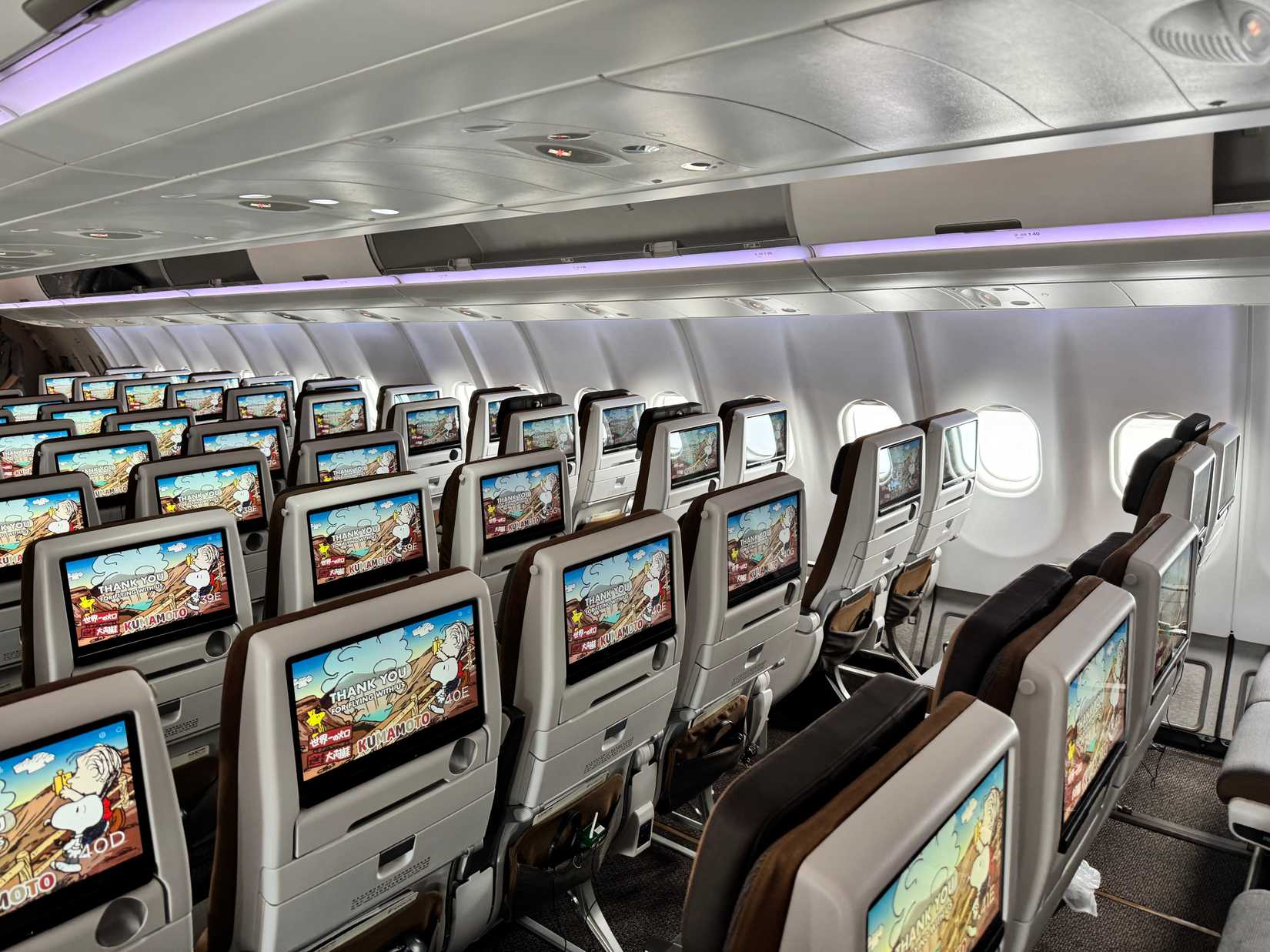 A Carefully Detailed Economy Class Cabin