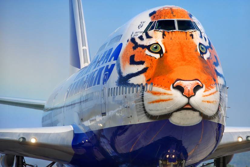 A Russian Transaero Boeing 747-400 in Siberian Tiger livery