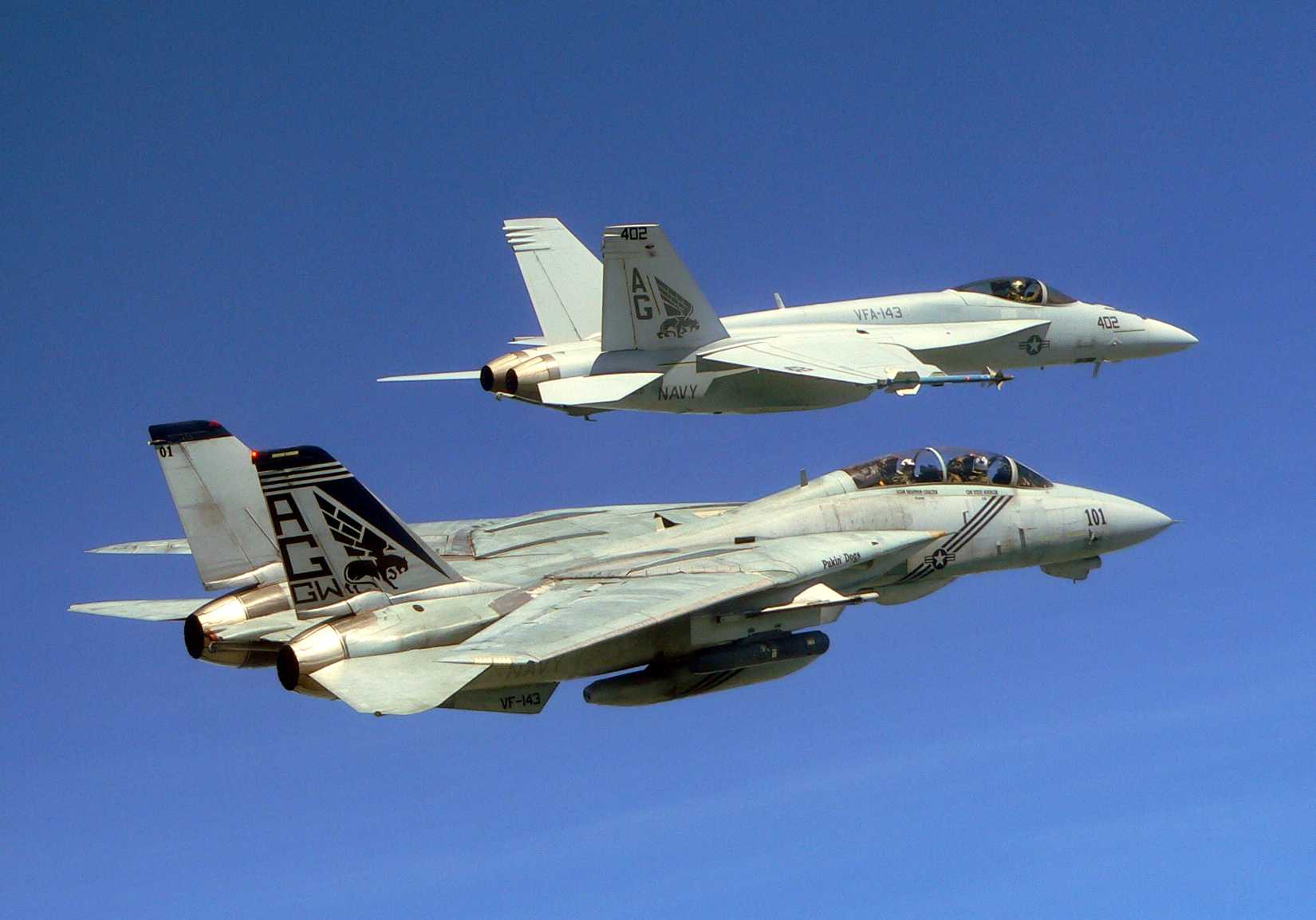 VF-143_F-14_F-18_2005
