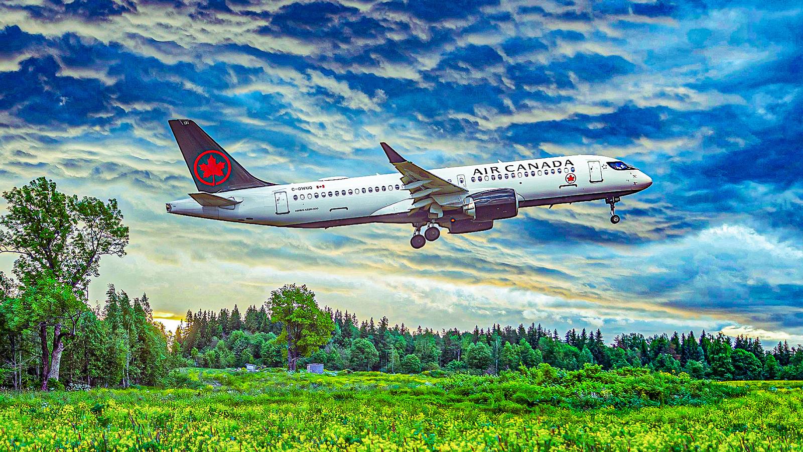 Air Canada Wins 11-Month Court Battle Over $2,000 Payout To Passenger