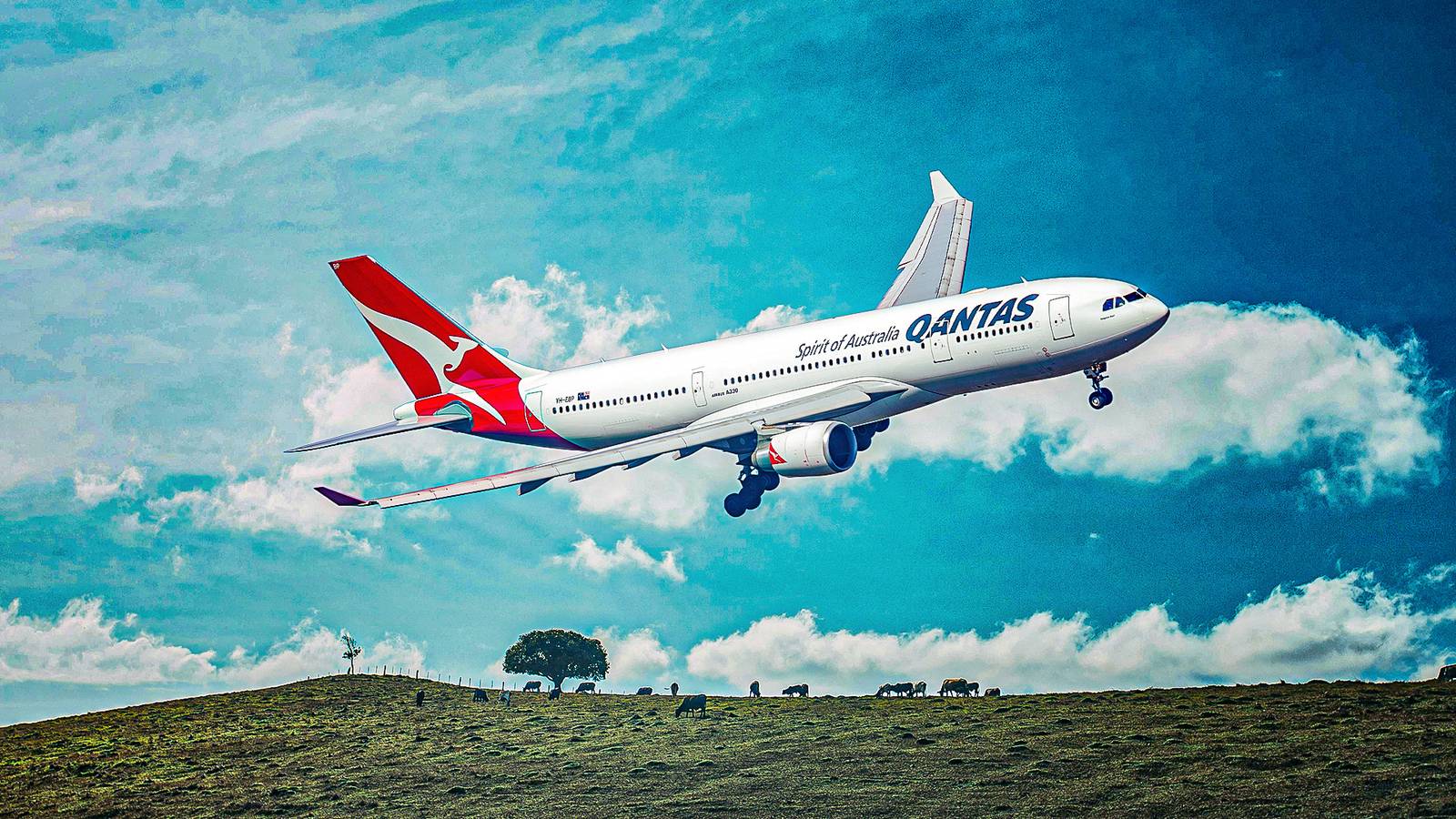 Airbus A330-200 ����������� Qantas