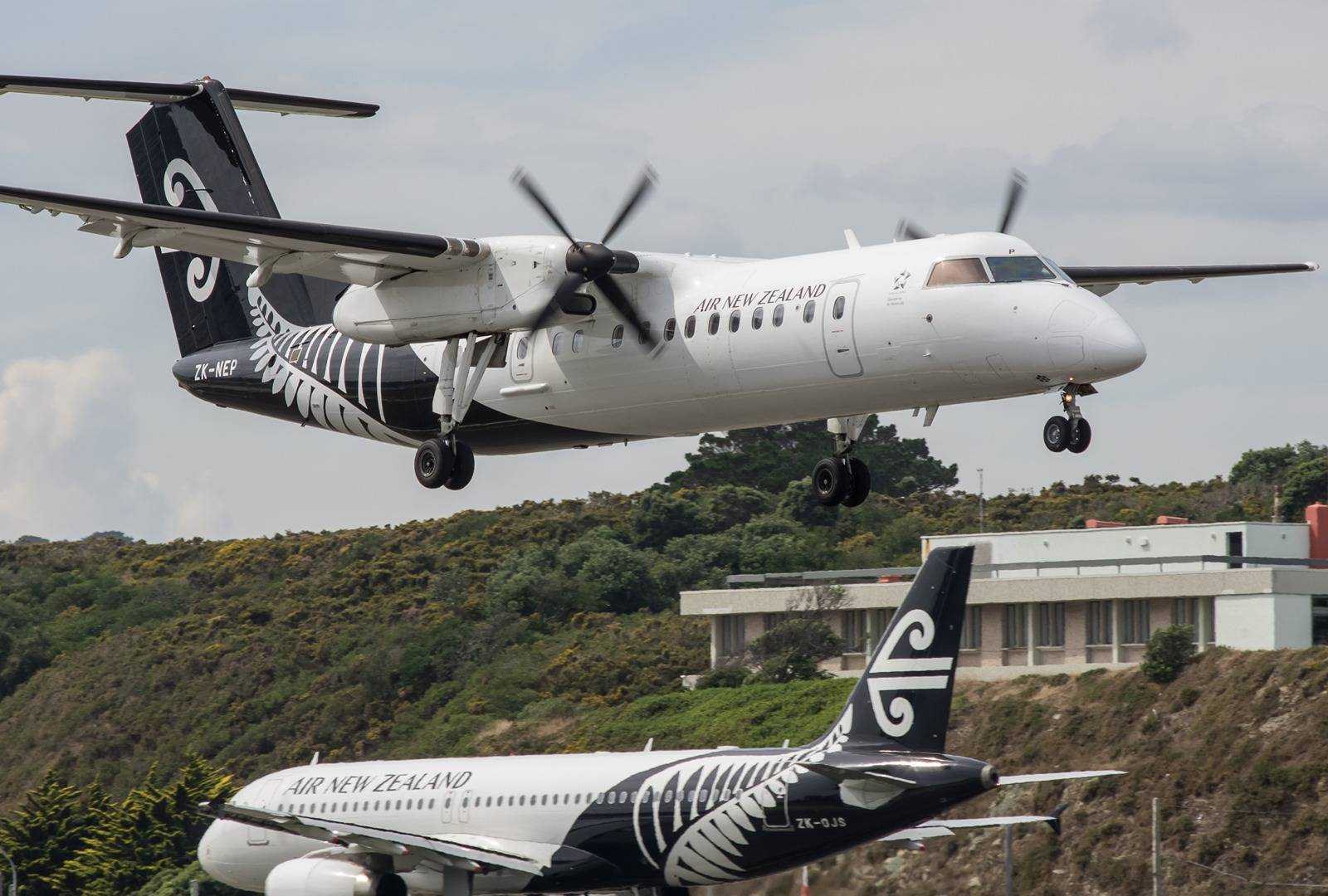 air-new-zealand-q300-a320.jfif