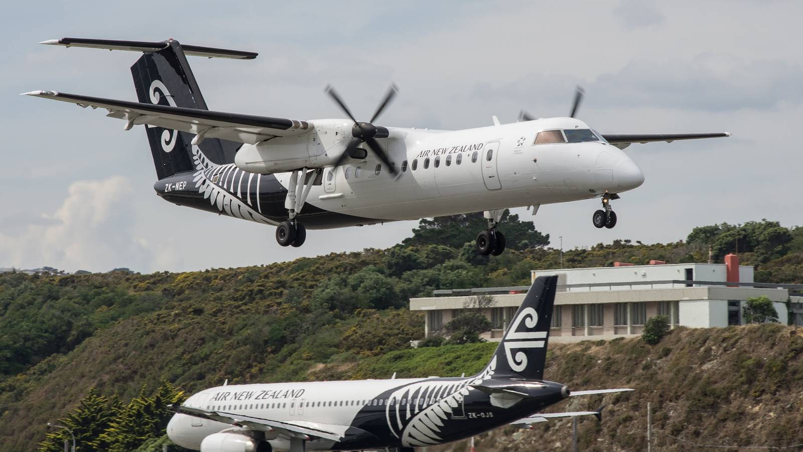 How Did 2 Aircraft Come So Close To Crashing Head-On In New Zealand?