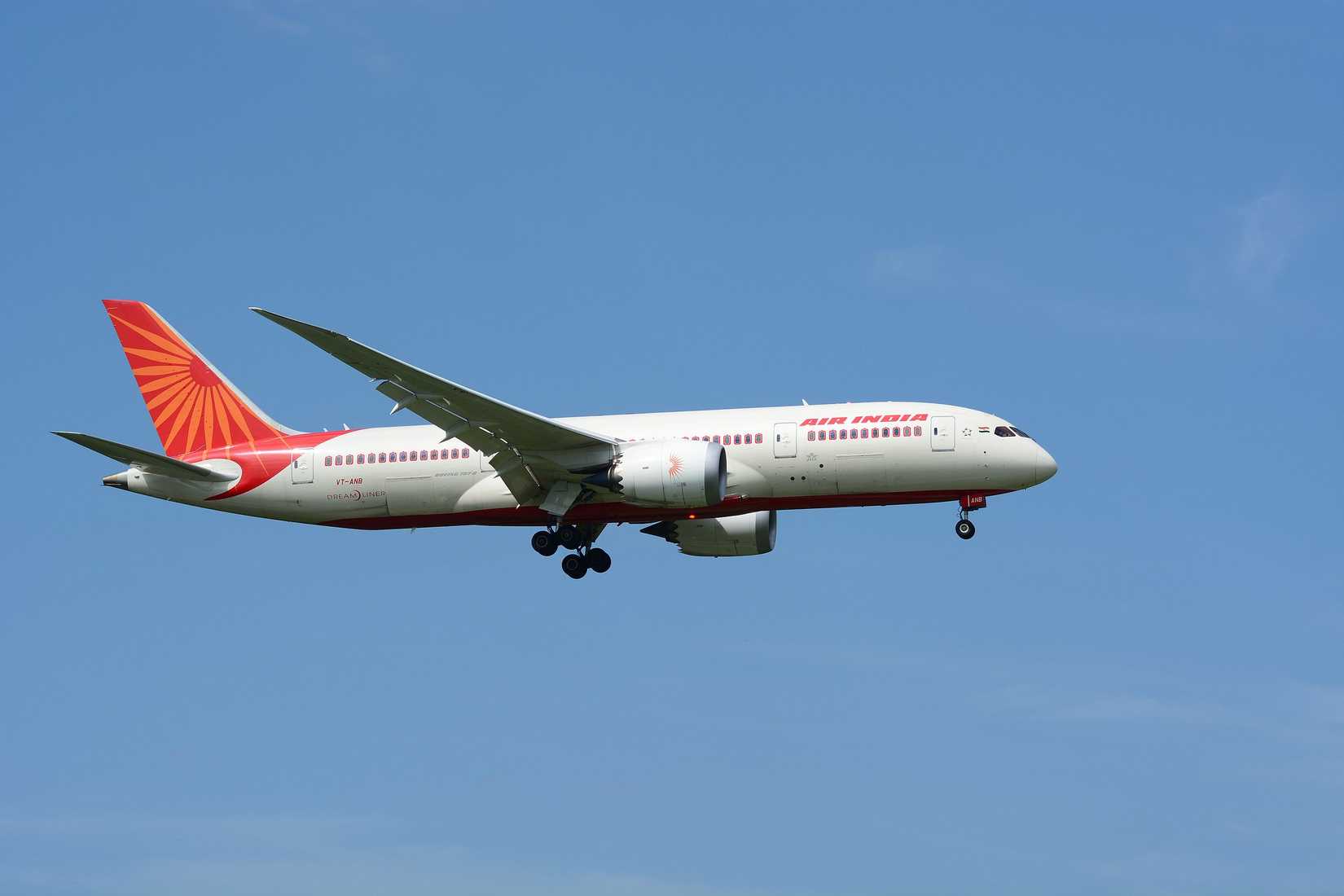 Air India 787 Inflight