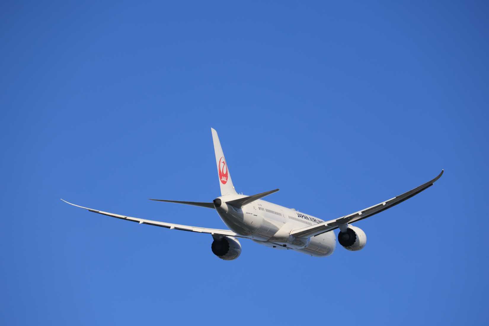 Japan Airlines (JAL) Boeing 787 Dreamliner flying in clear blue sky.