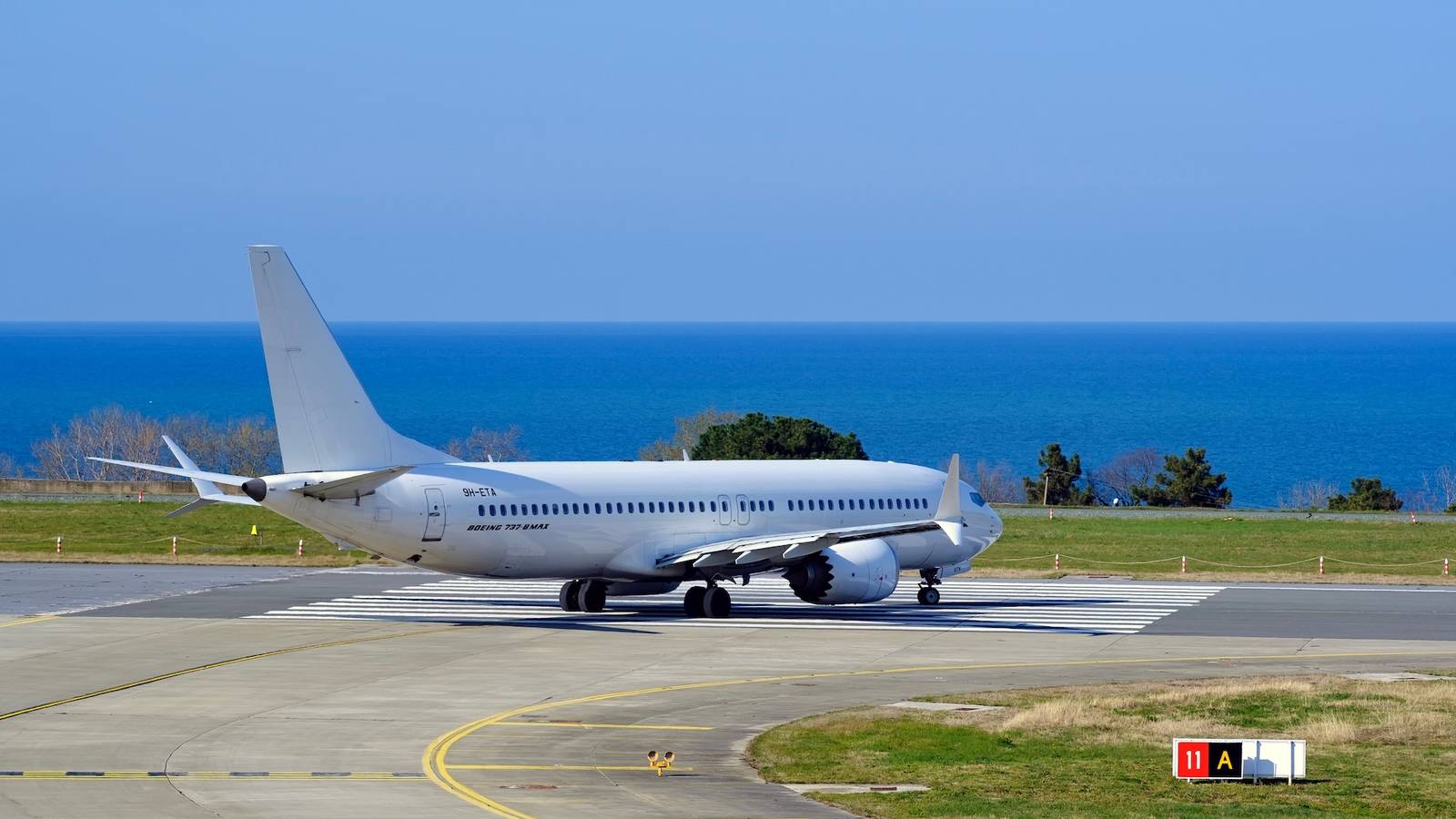 ICE's Costly 737 Gamble: Is A Private Air Fleet Feasible?