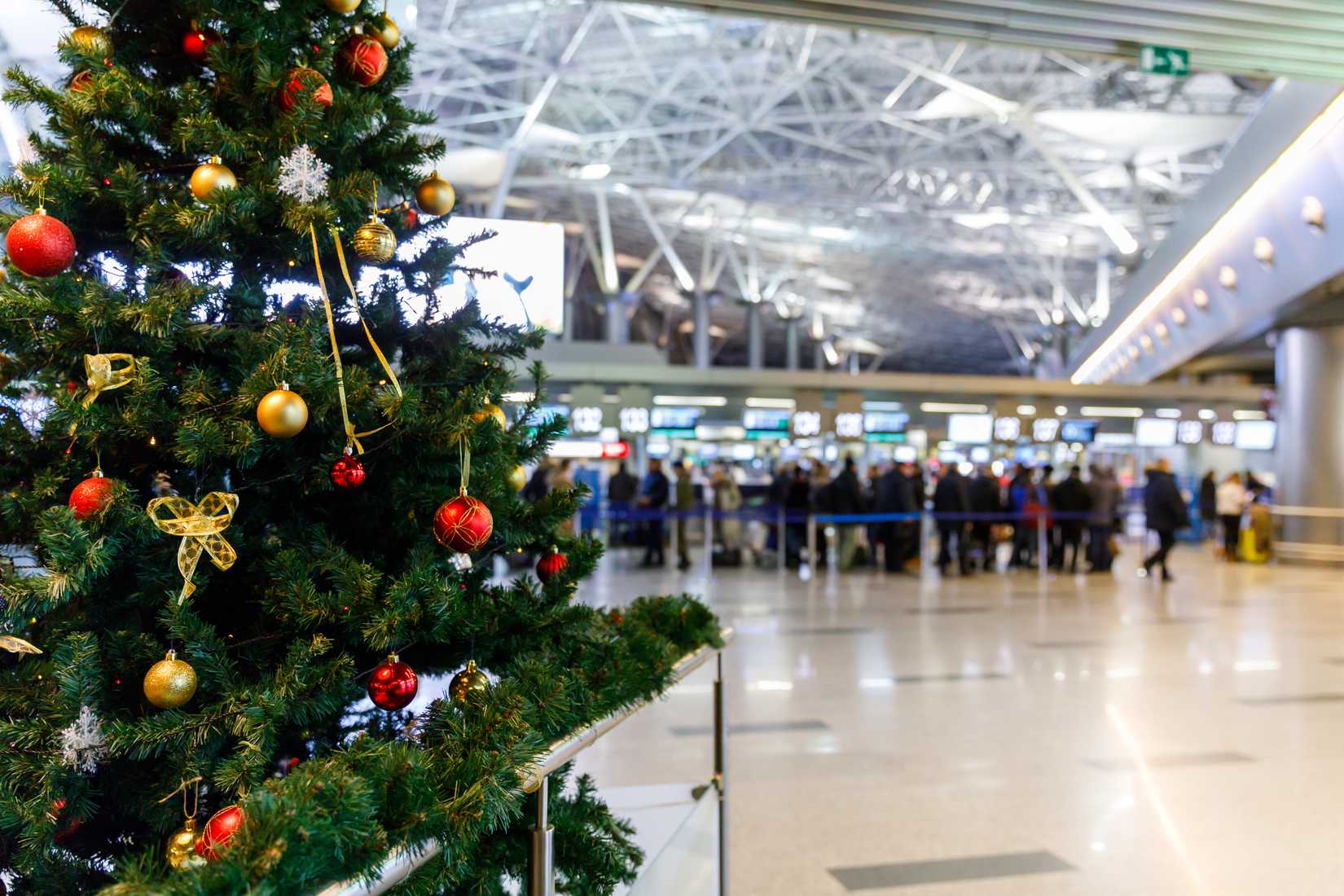 Christmas Tree At Airport