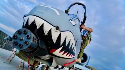 warthog-dvids-1000w_q95
