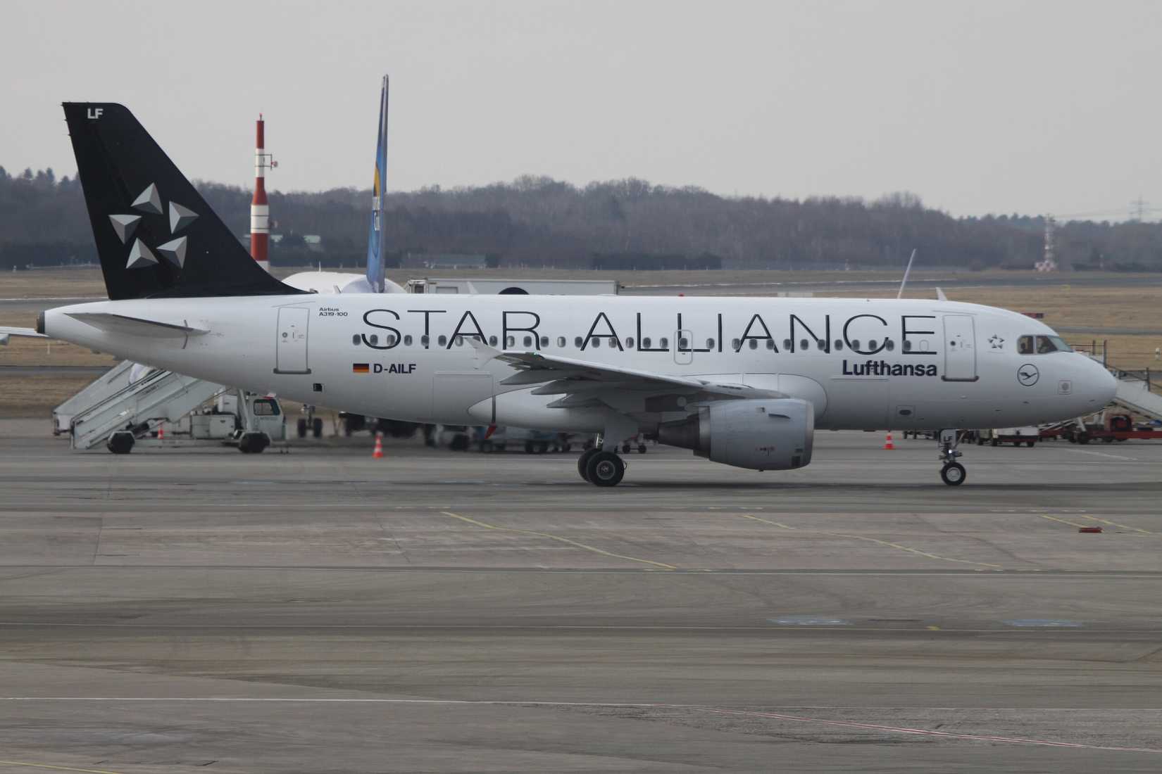 Lufthansa A319 � �������� Star Alliance