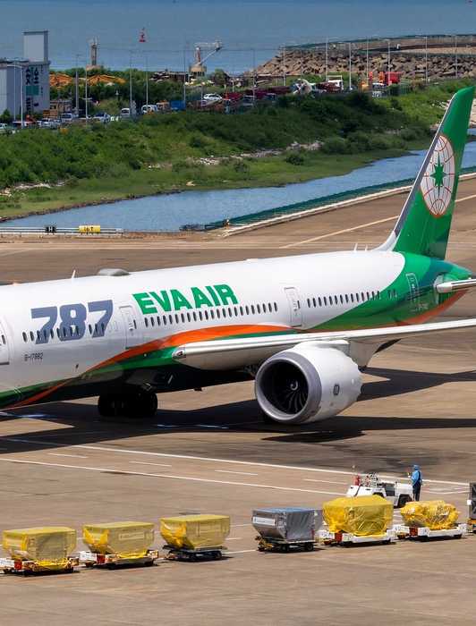 American Airlines Receives Backlash From Lisa Vanderpump After 12-Hour ...