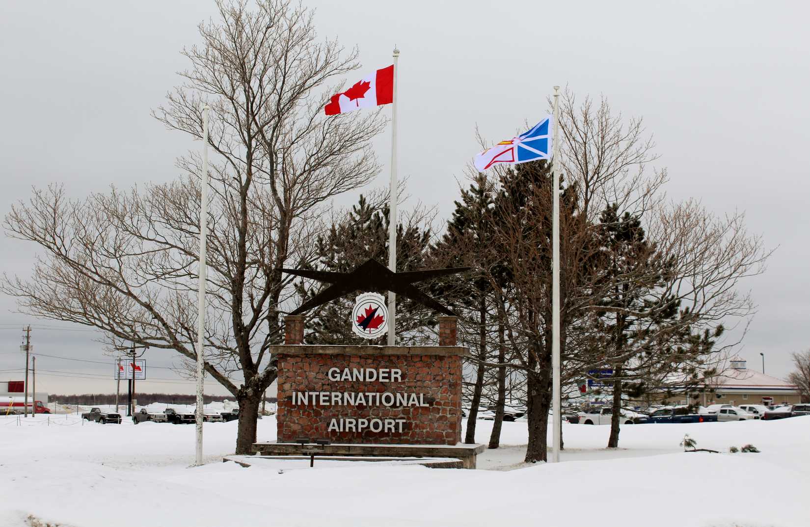 Stranded Again Sign Stranded In Newfoundland (Again): A Lesson In Aviation Crisis Management