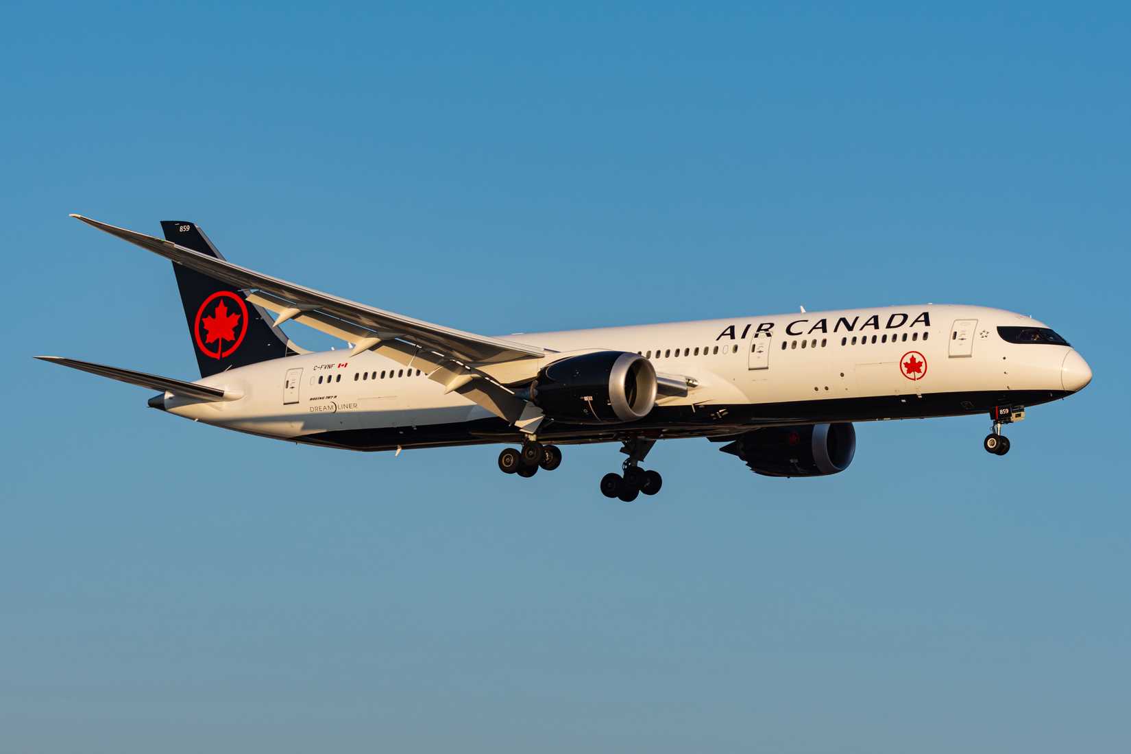 Air Canada 787 Inflight