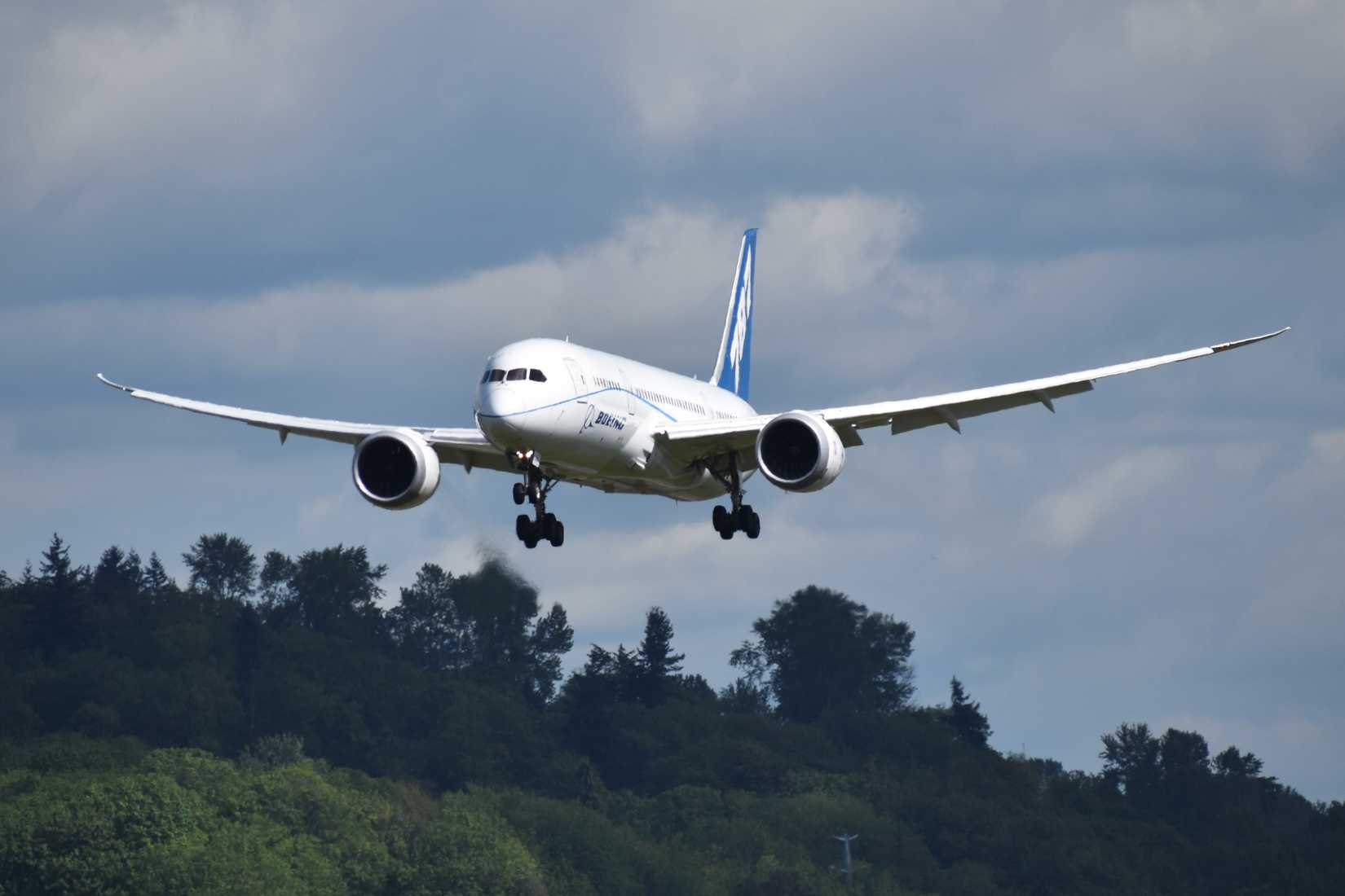 Boeing 787-8 N7874