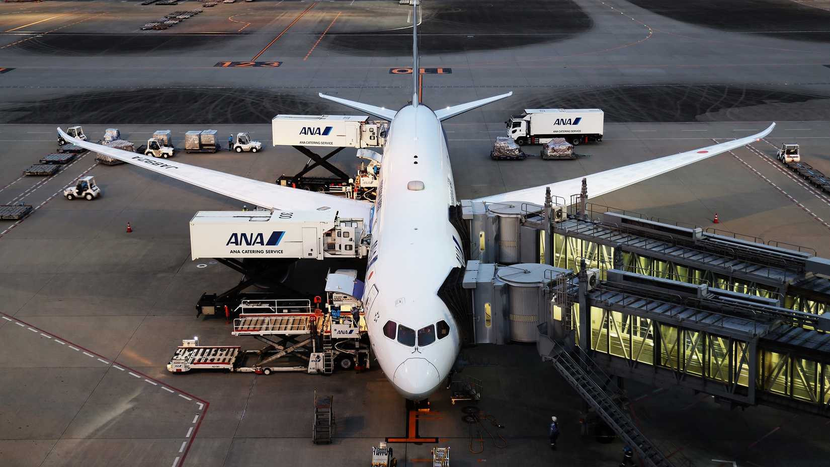Boeing 787 ANA