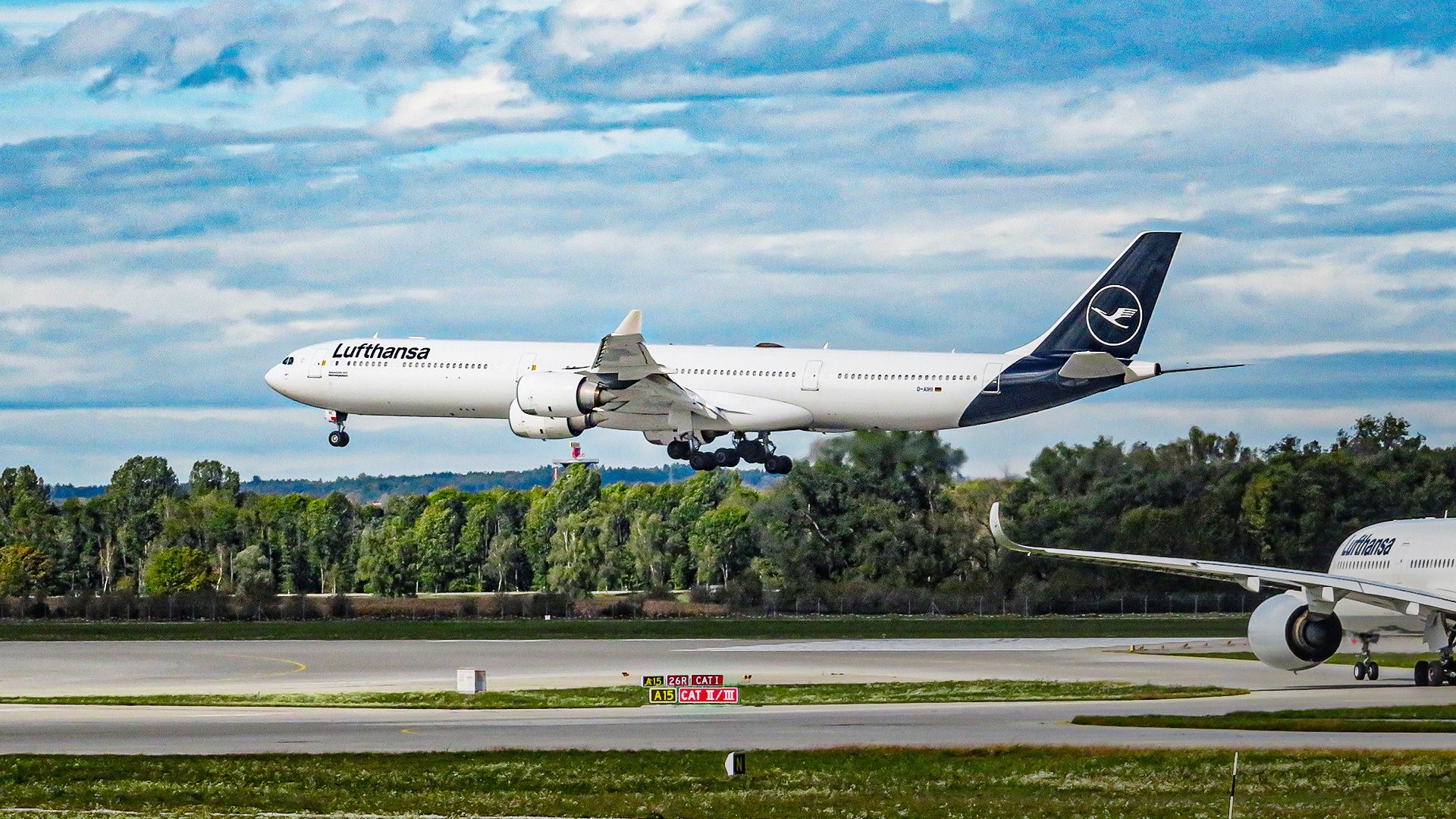 Here's Why You Have To Go Downstairs To Use The Lavatory On The Airbus A340-600