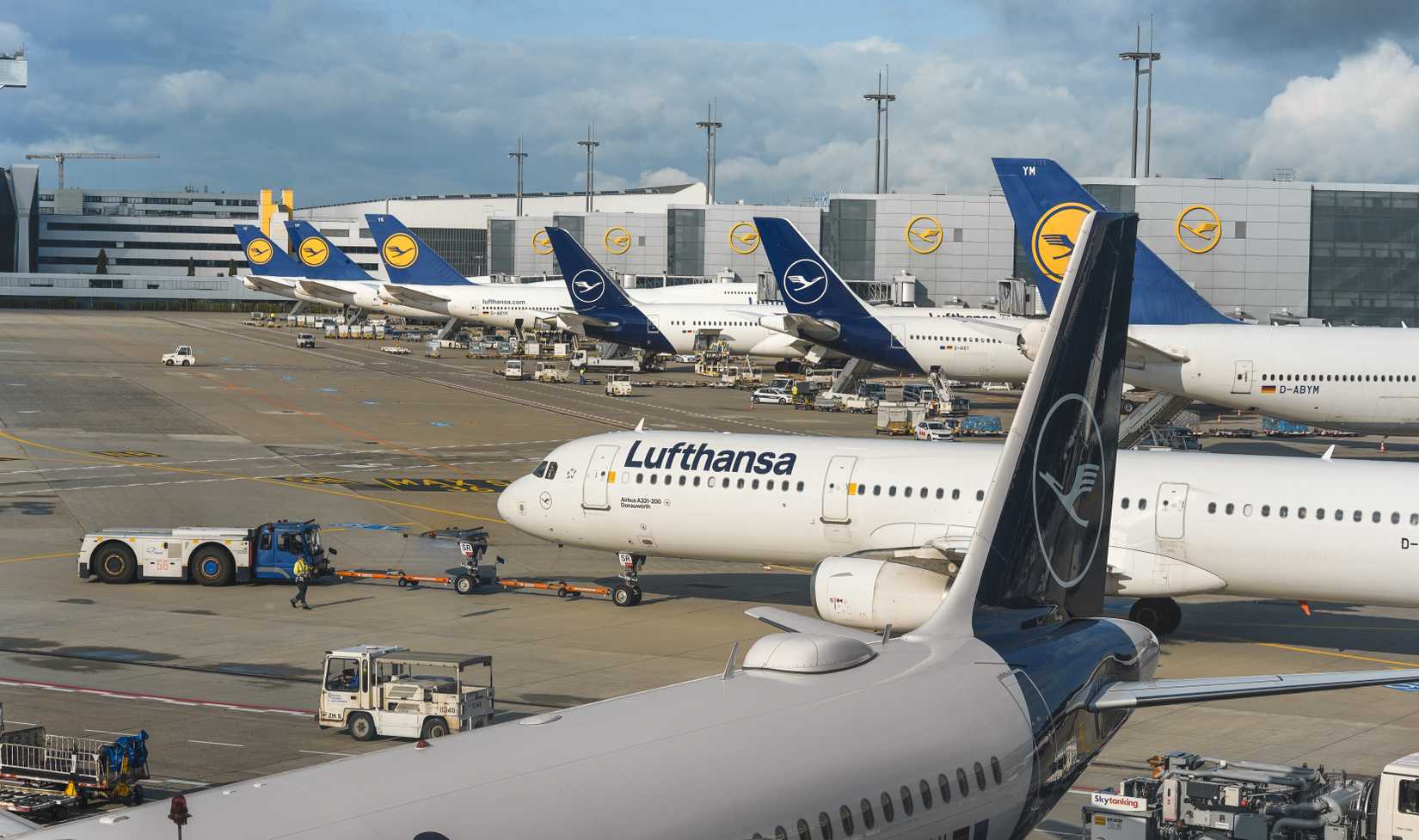 Lufthansa planes in the international Frankfurt airport.