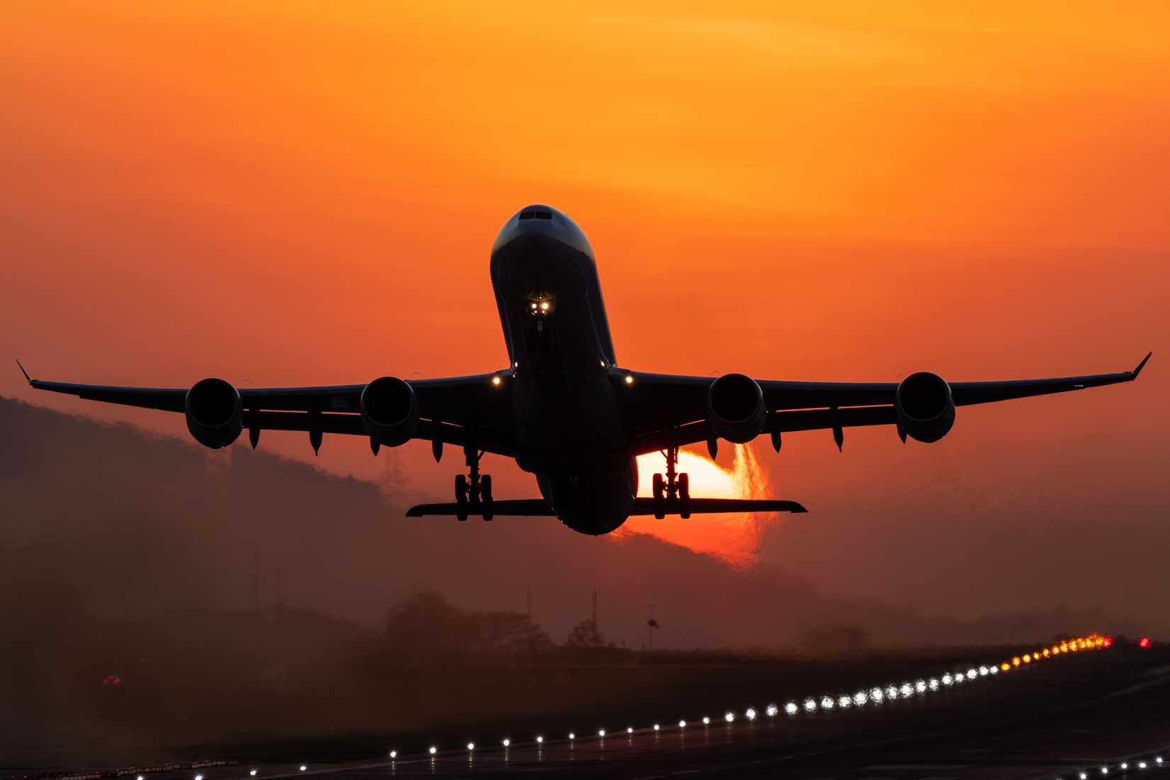 shutterstock_2417131999