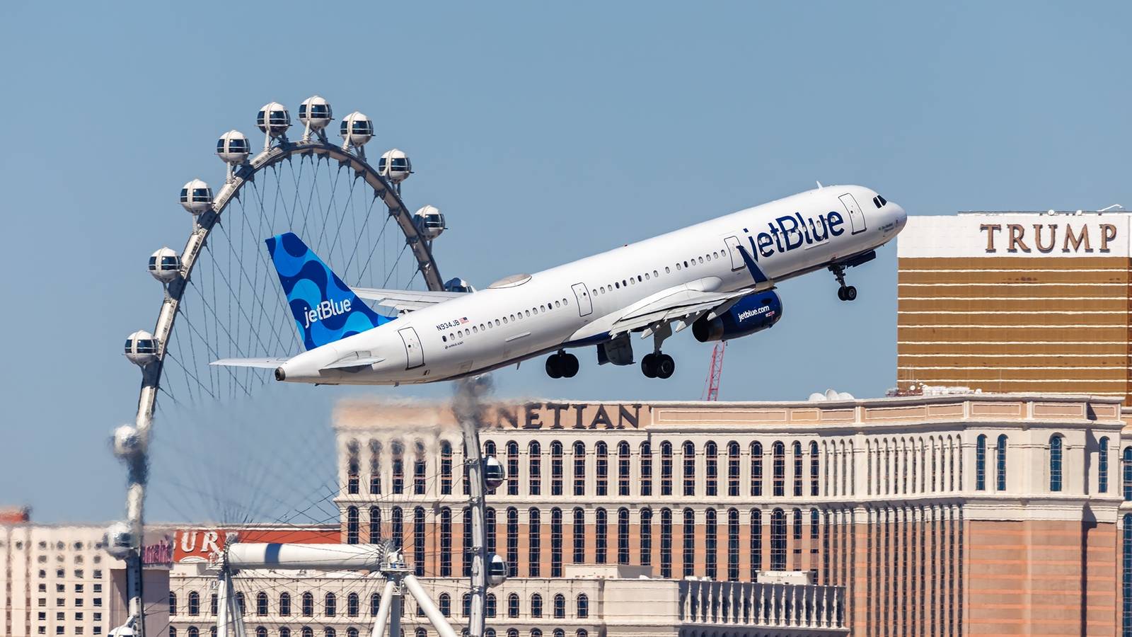 Woman Arrested After Tying Dog To Baggage Counter & Abandoning It To Catch Flight In Las Vegas