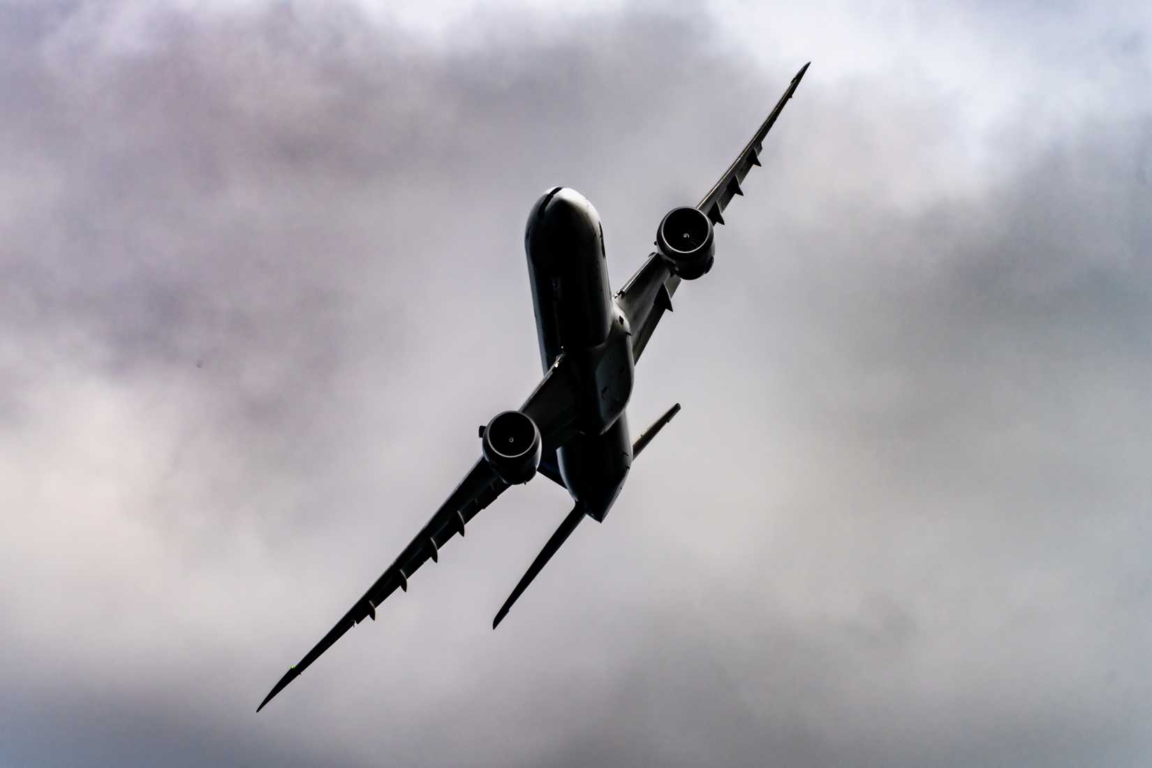 shutterstock_2671413447