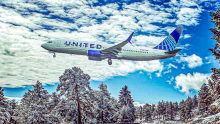 United Airlines Boeing 737-800 Custom Thumbnail