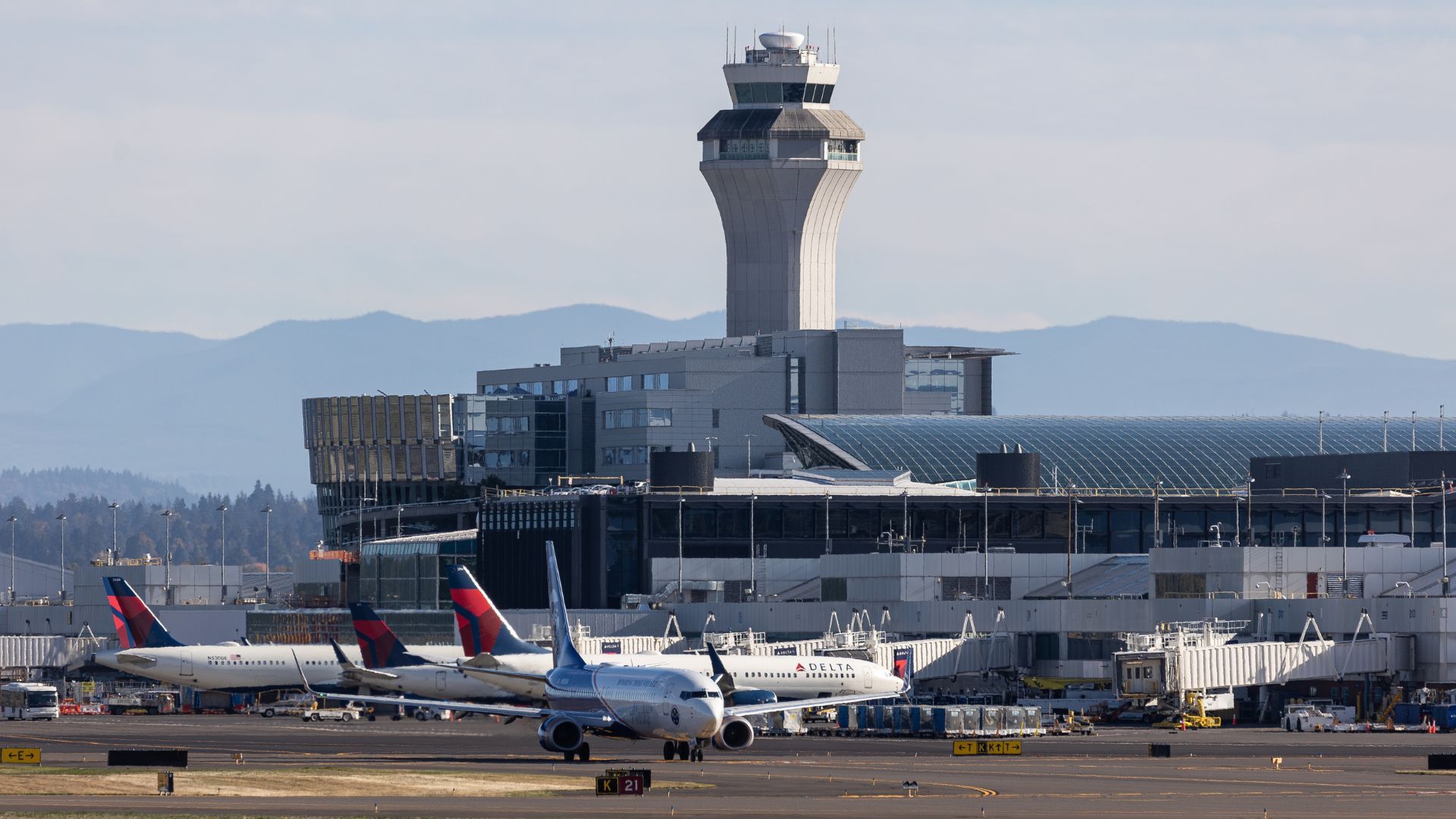 Security Lapse: How A Meat Cleaver Made It Onto A Delta Flight—And Why The Passenger Wasn't Arrested