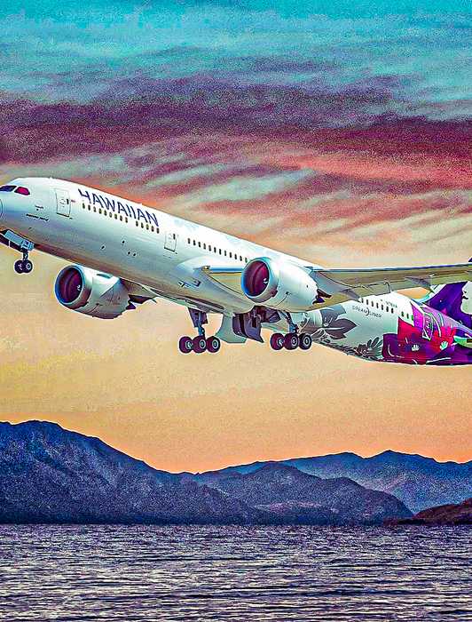 165 - Hawaiian Airlines Boeing 787-9 - christopheronglv \_ Shutterstock