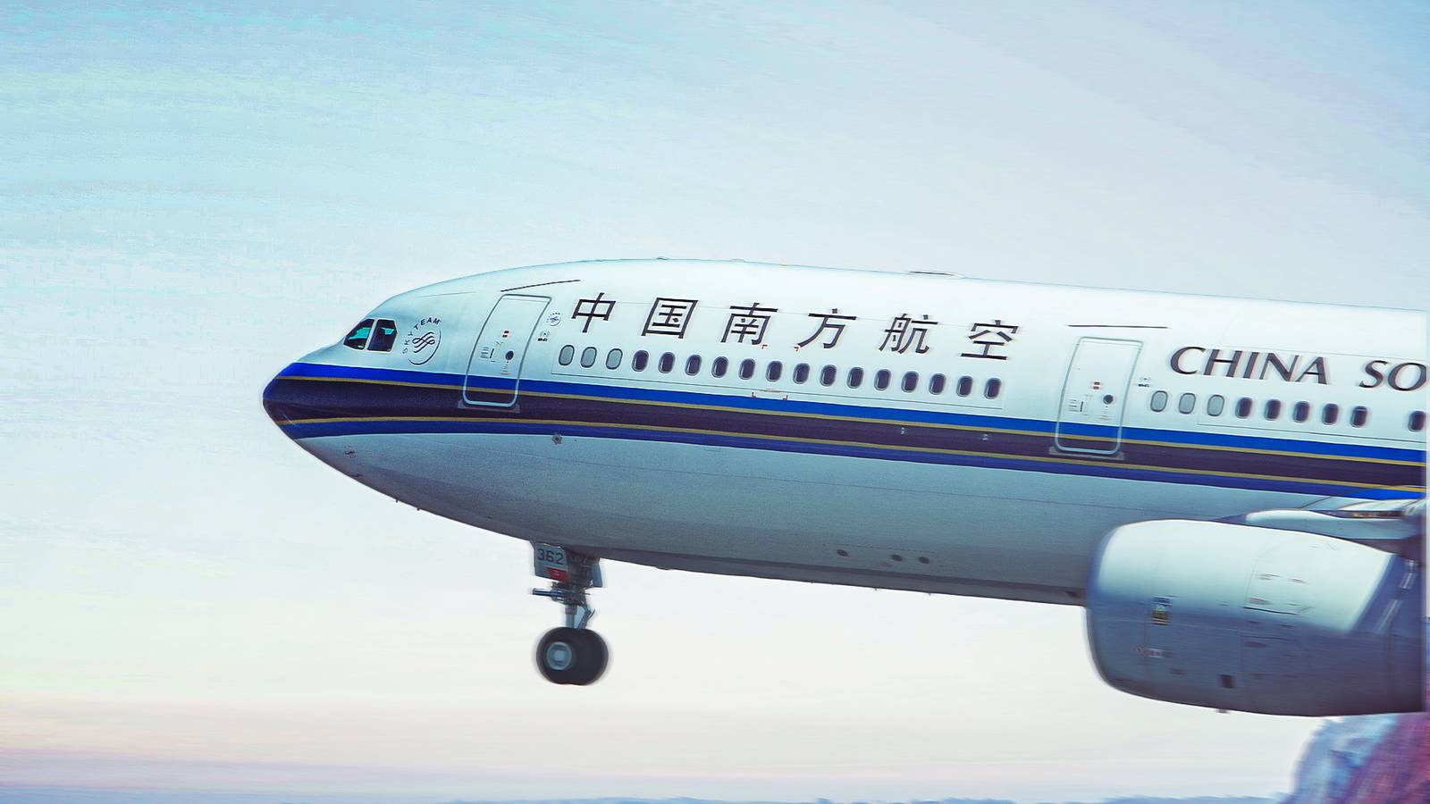 "Got Your Nose": China Southern A330 Loses Entire Radome After Severe Bird Strike