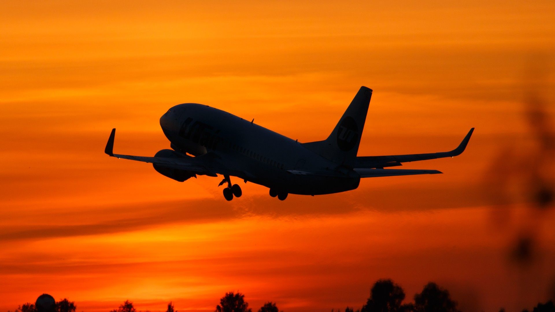 TSA Lines Turn into Cocktail Parties