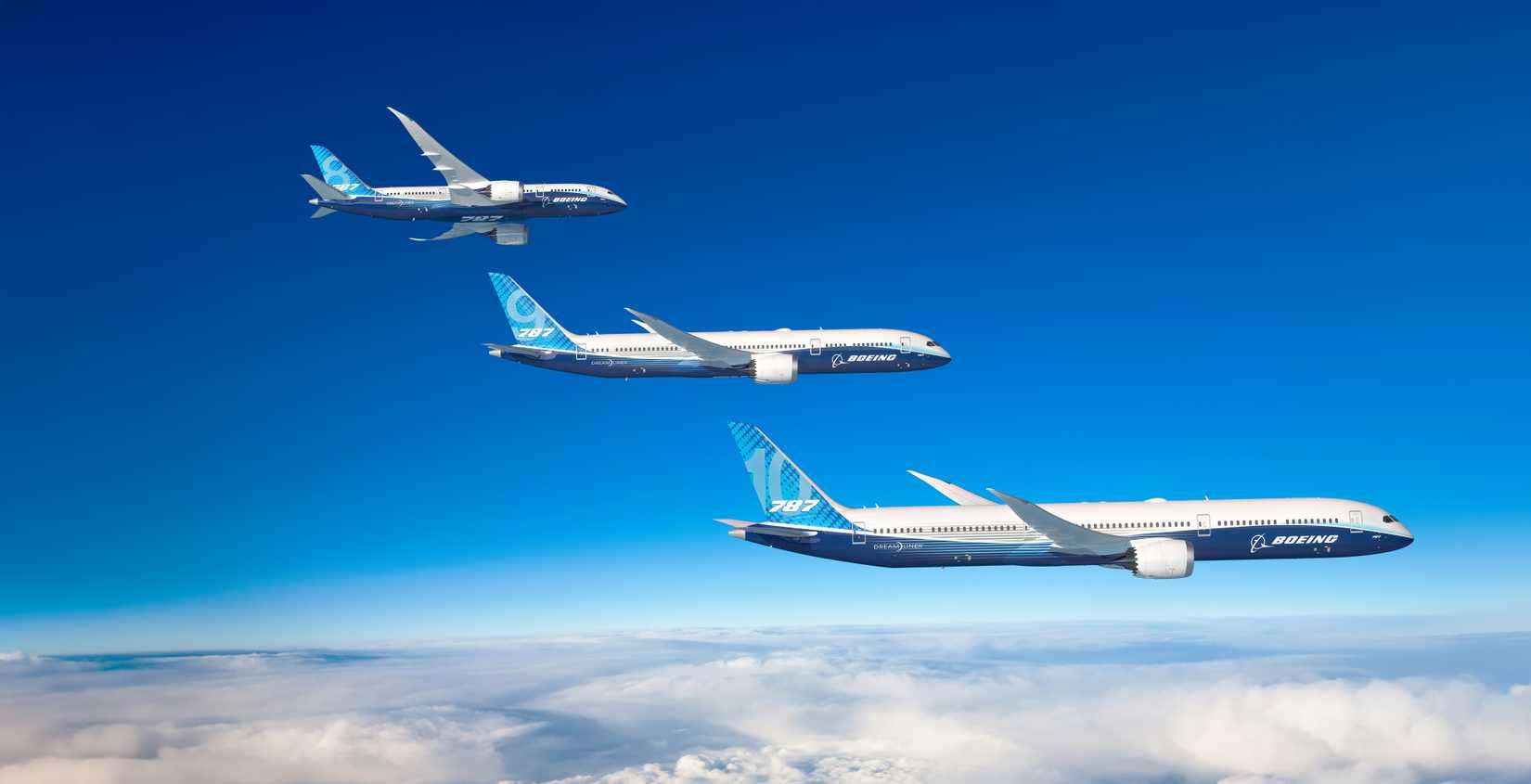 787 Dreamliner family aircraft flying