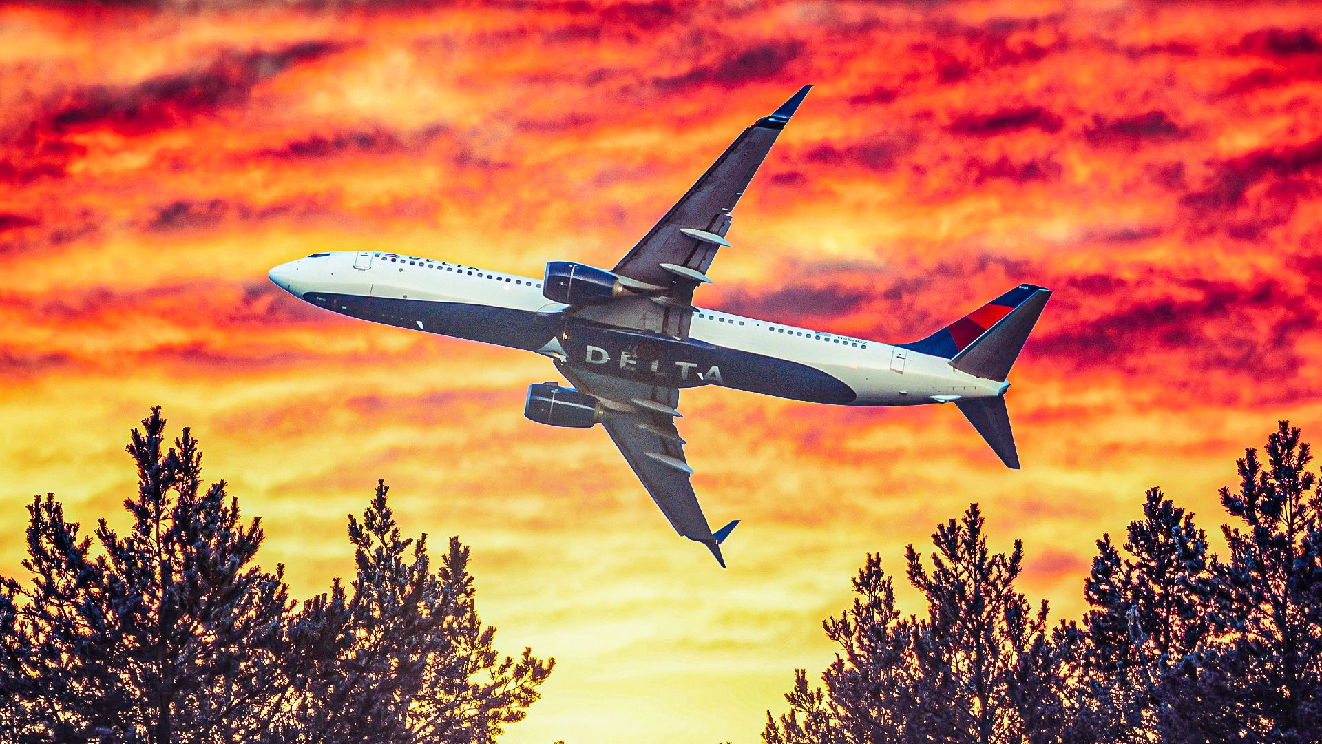 "Inexcusable": Why Delta’s CEO Just Stripped Congress Of Their VIP Perks