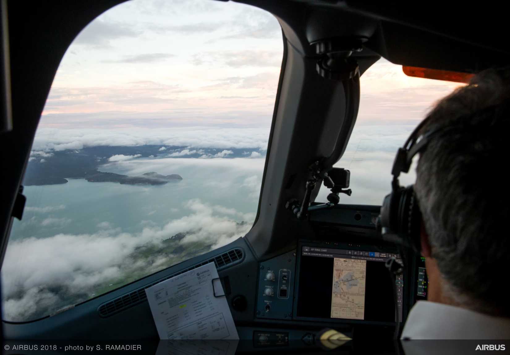 Airbus Cockpit With Pilot