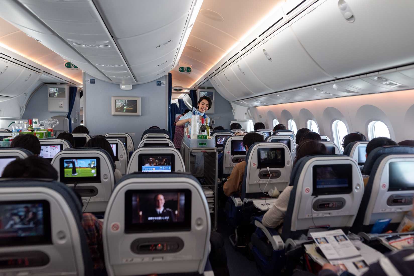 ANA Airlines 787 Economy Cabin