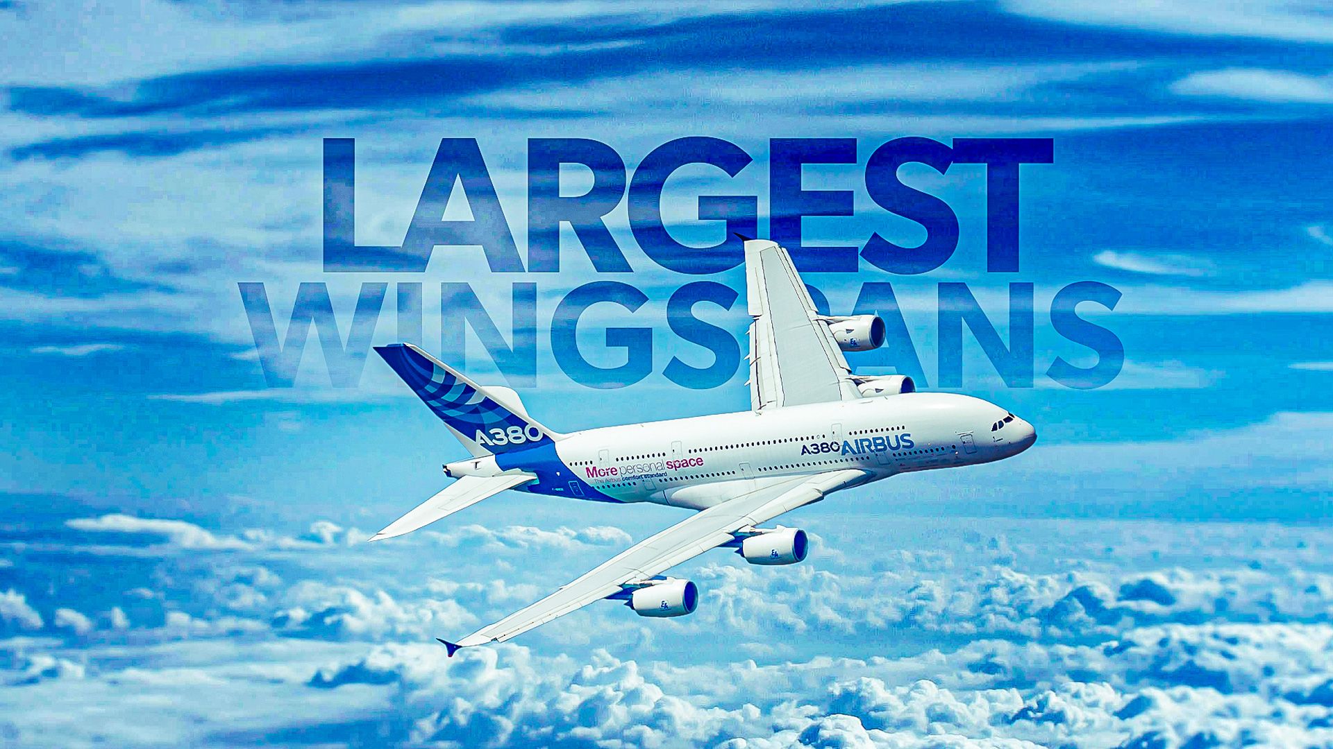 Largest-Wingspans